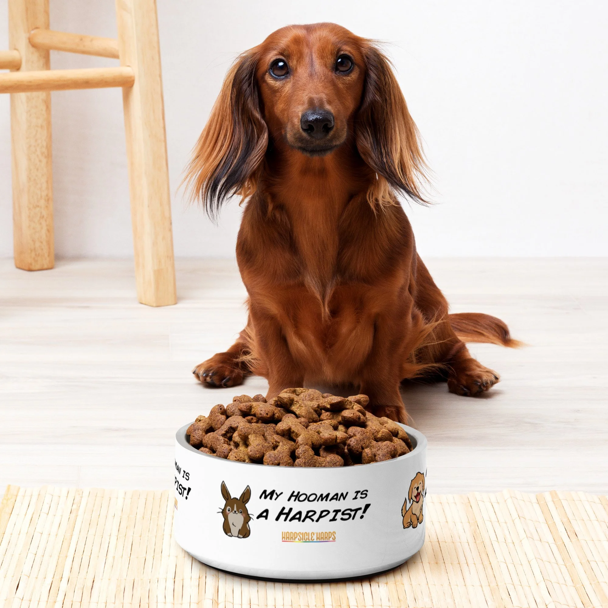 pet-bowl-white-32-oz-front-6738dc608afcd.jpg