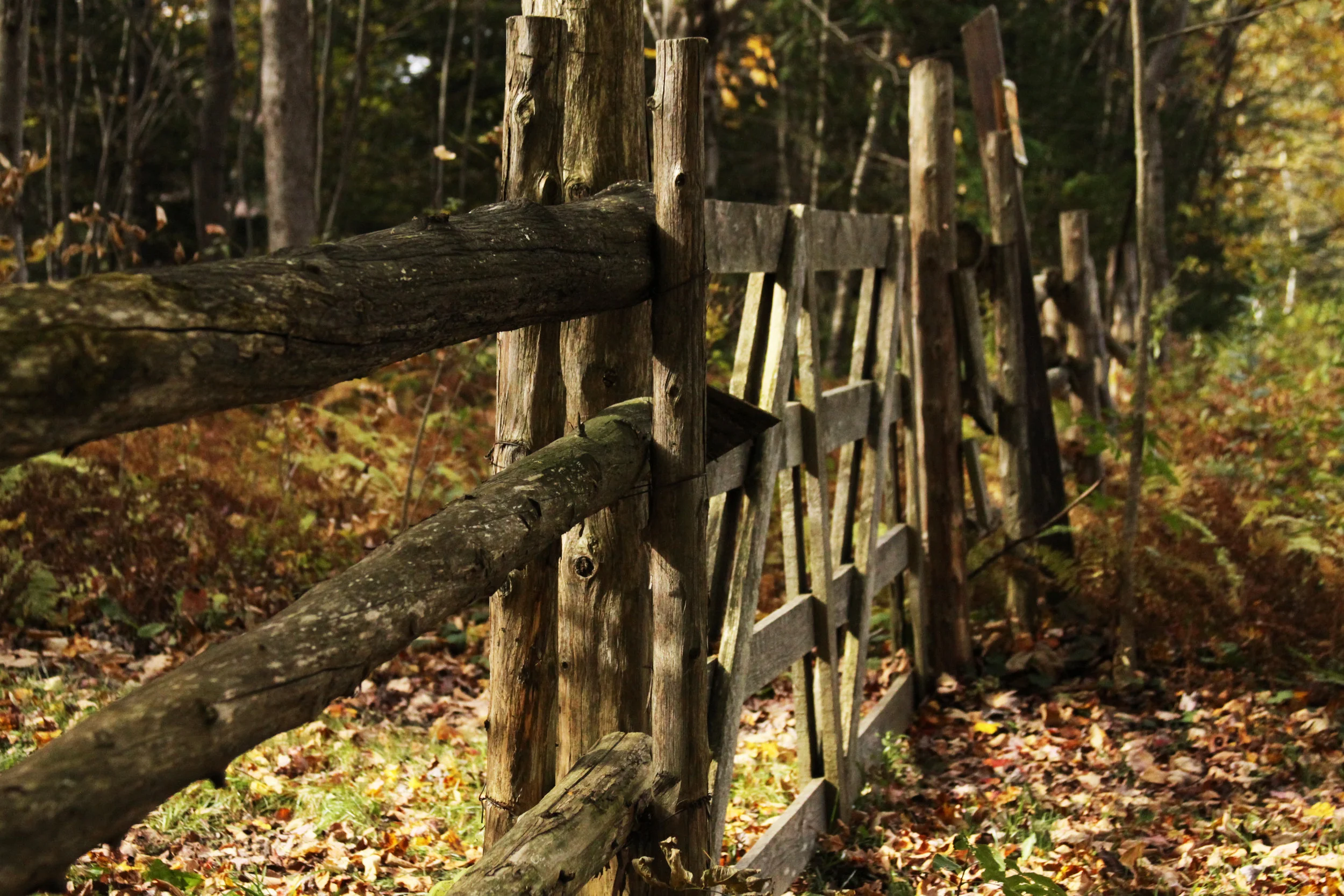 Trail Fence.jpg