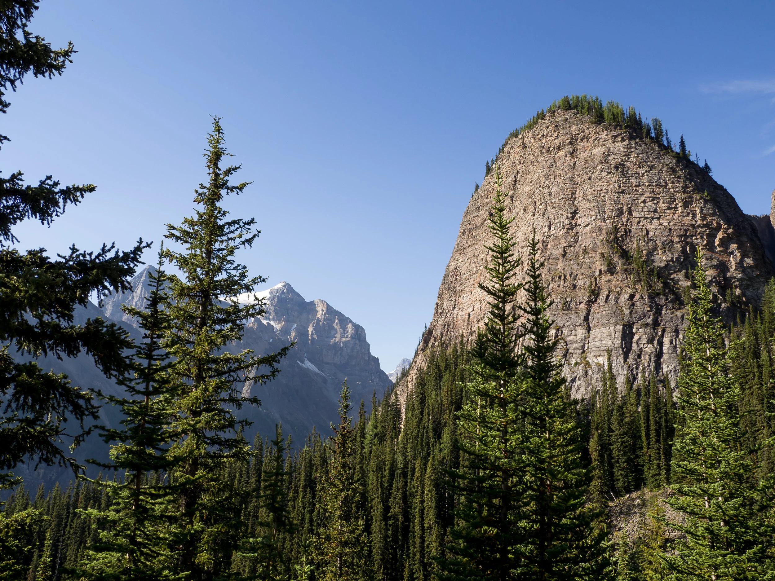 WesternCanada2016-8210206.jpg