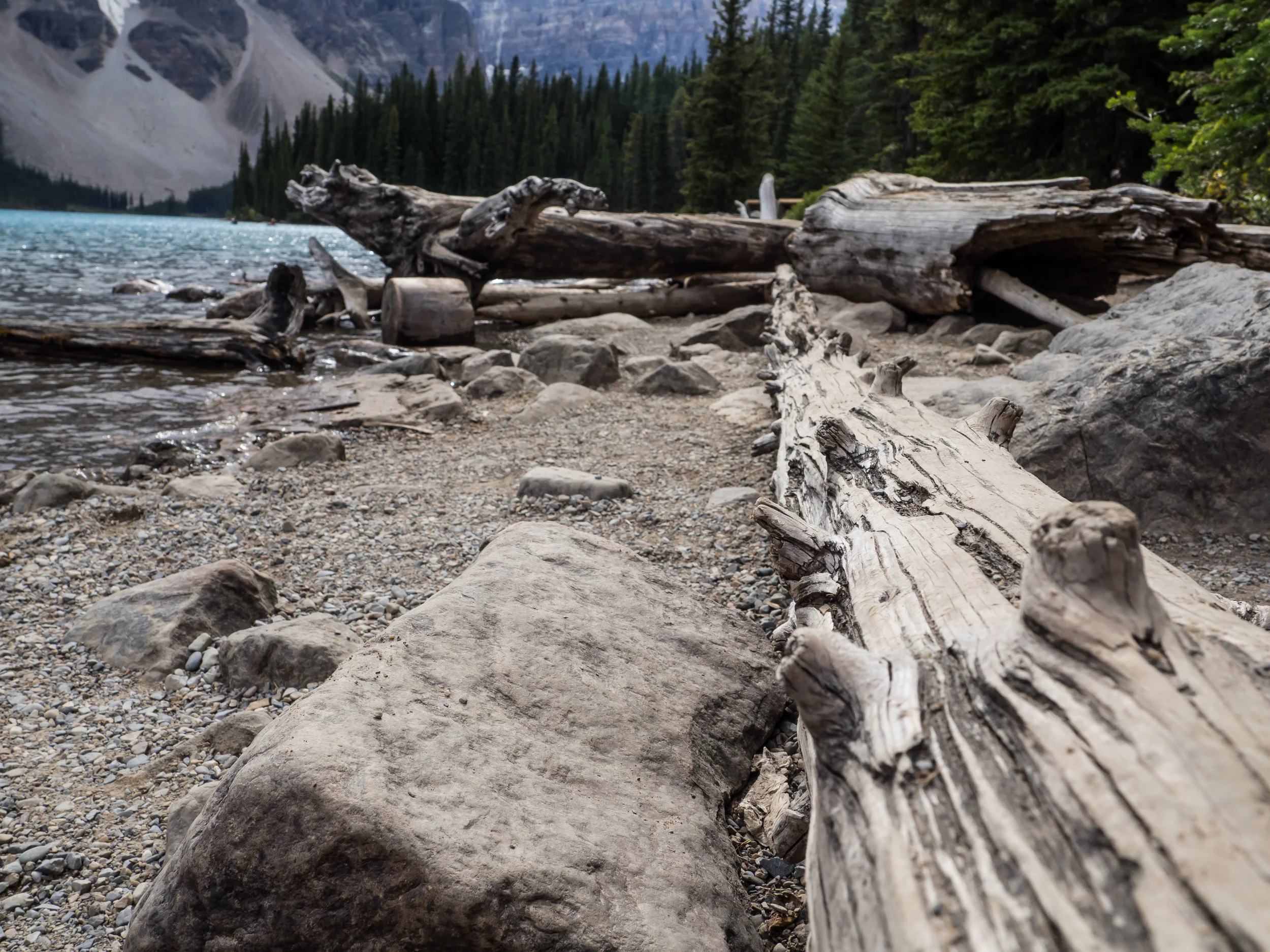 WesternCanada2016-8210350.jpg