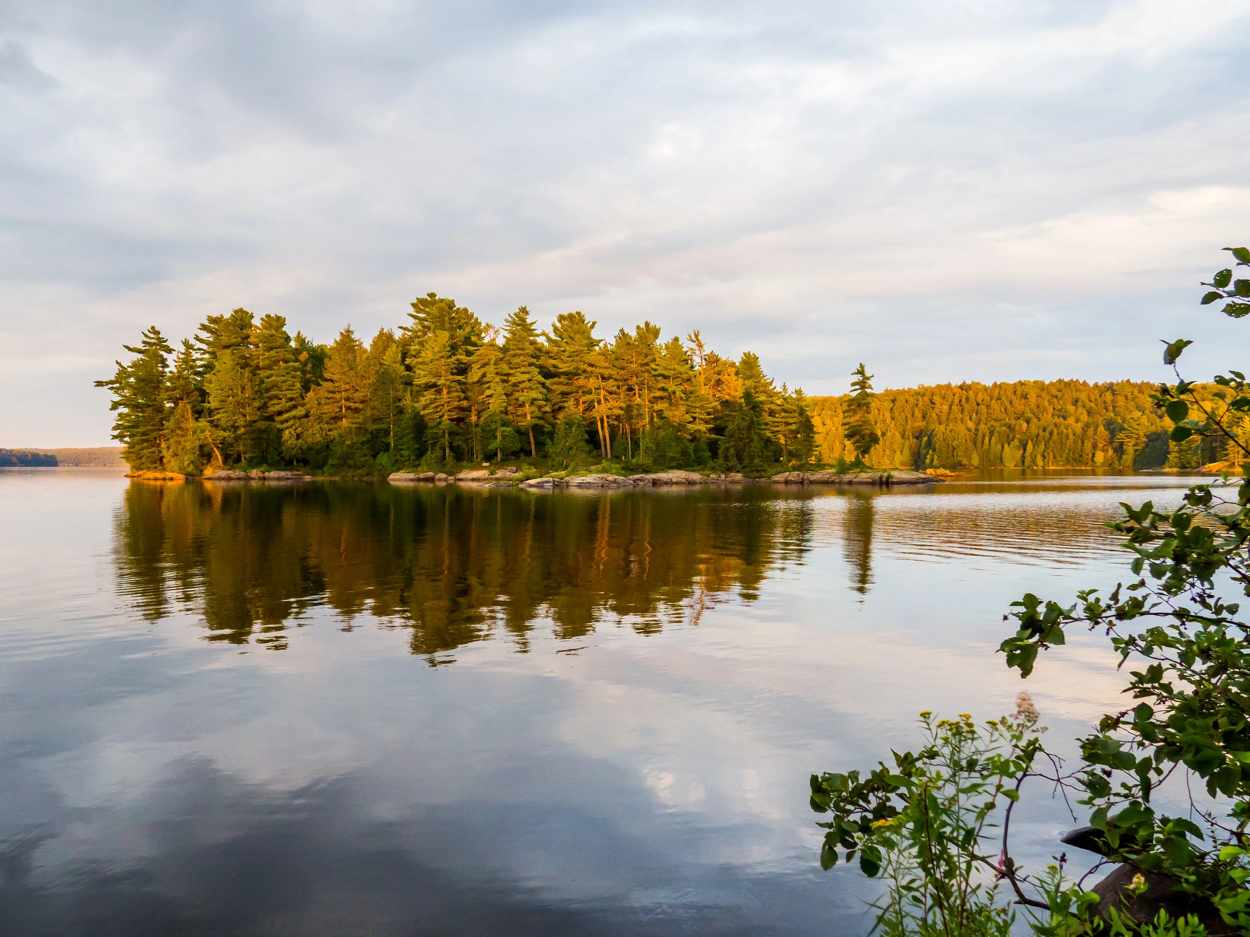 Algonquin2016-8150178.jpg
