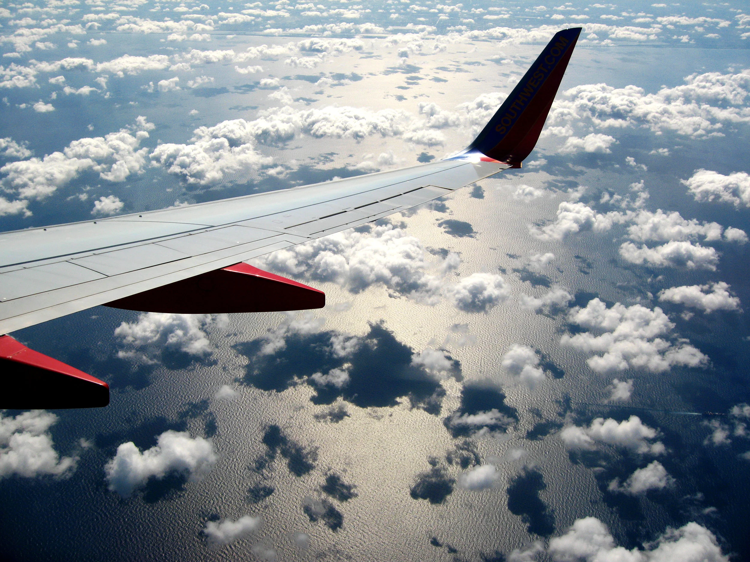 Airplane Wing.jpg