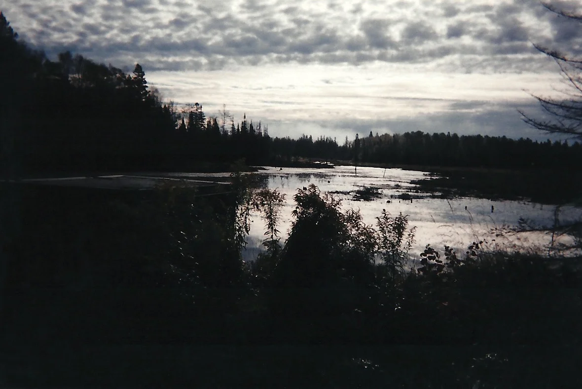 Overlooking the Marsh.jpg