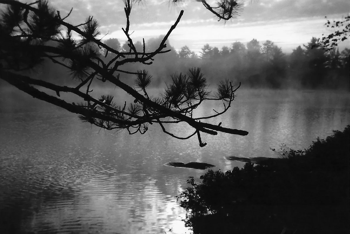 View of Branch and Lake.jpg