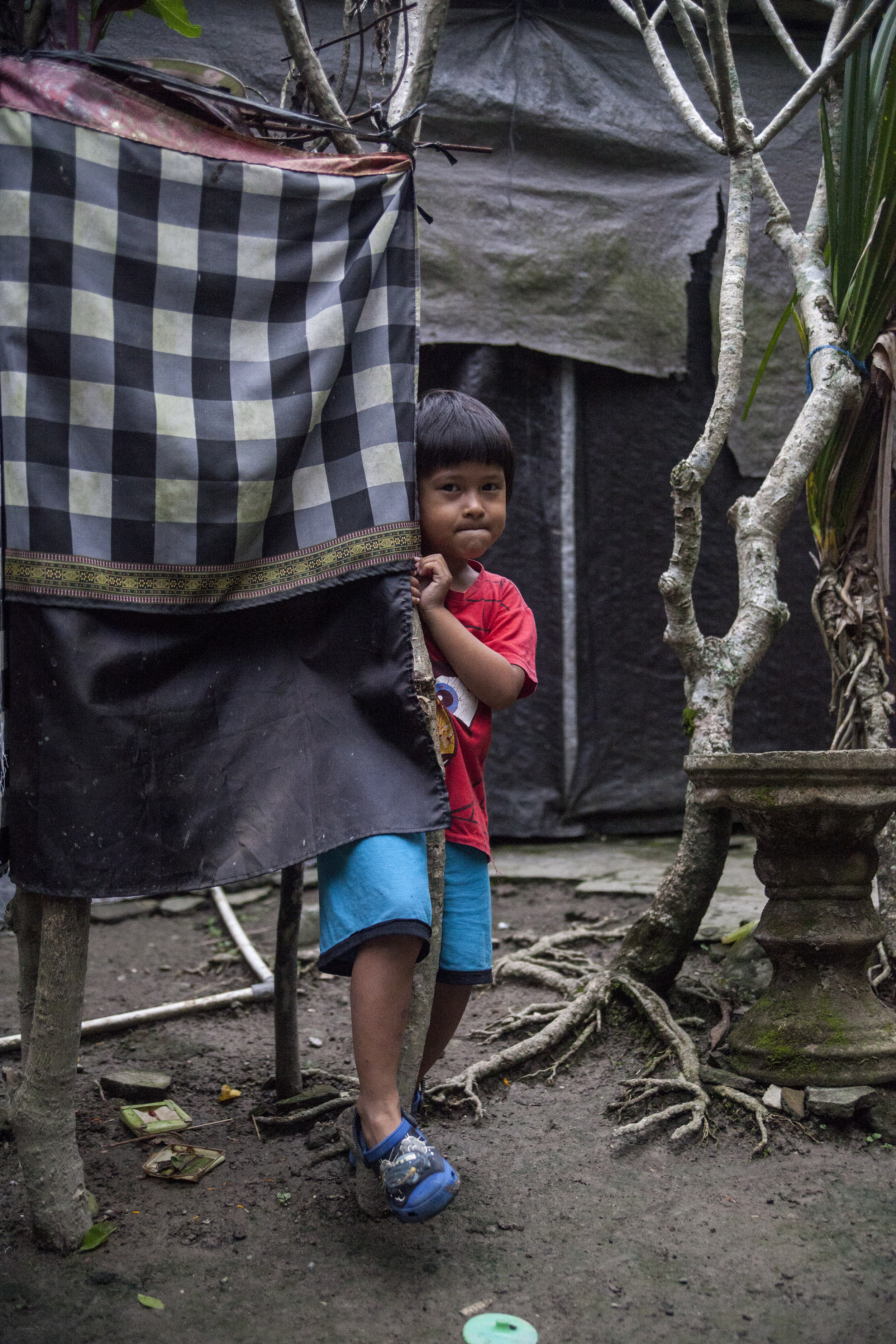  Tegallalang, Bali, 2017 