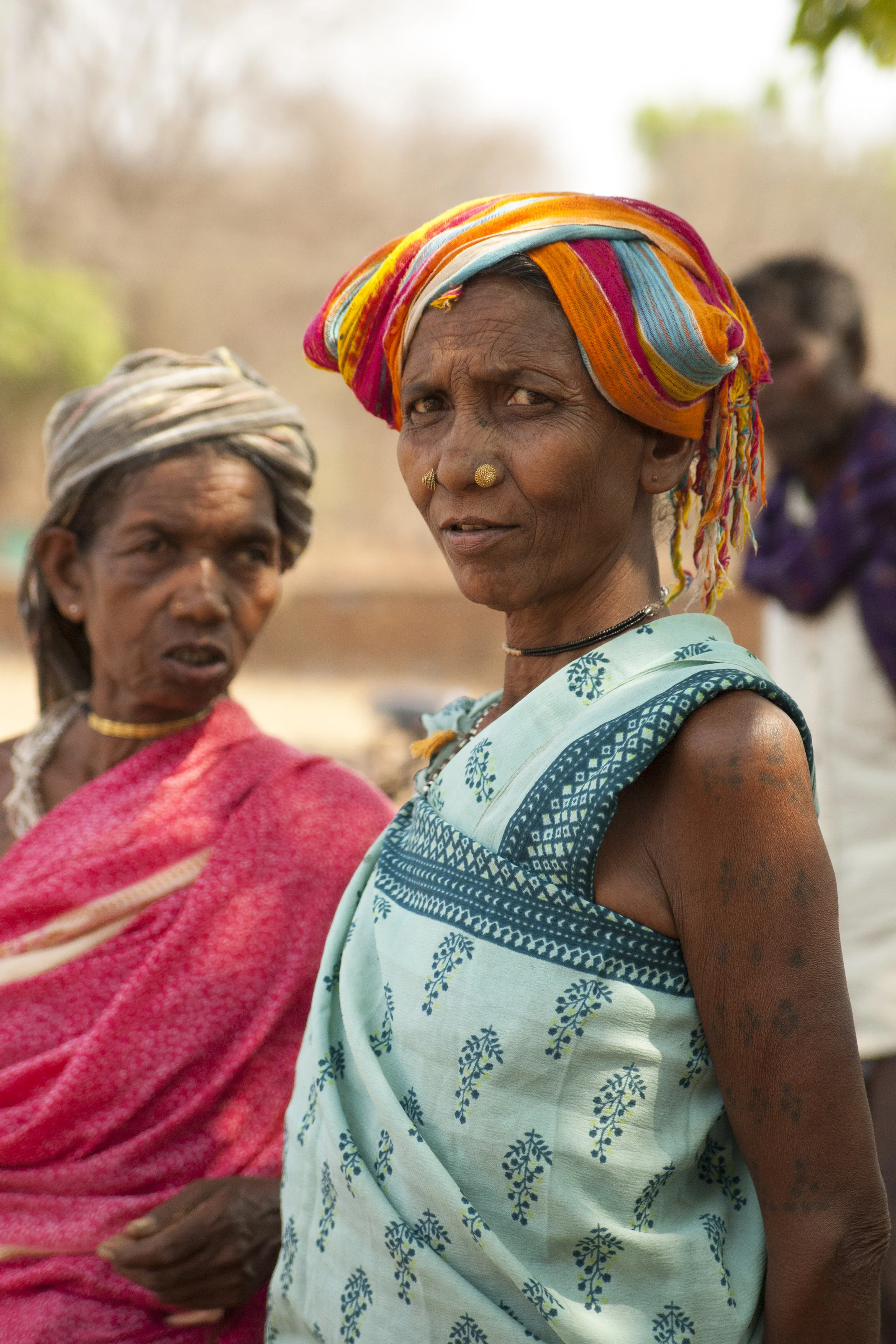  Ethnic group in removed area, India, 2013 