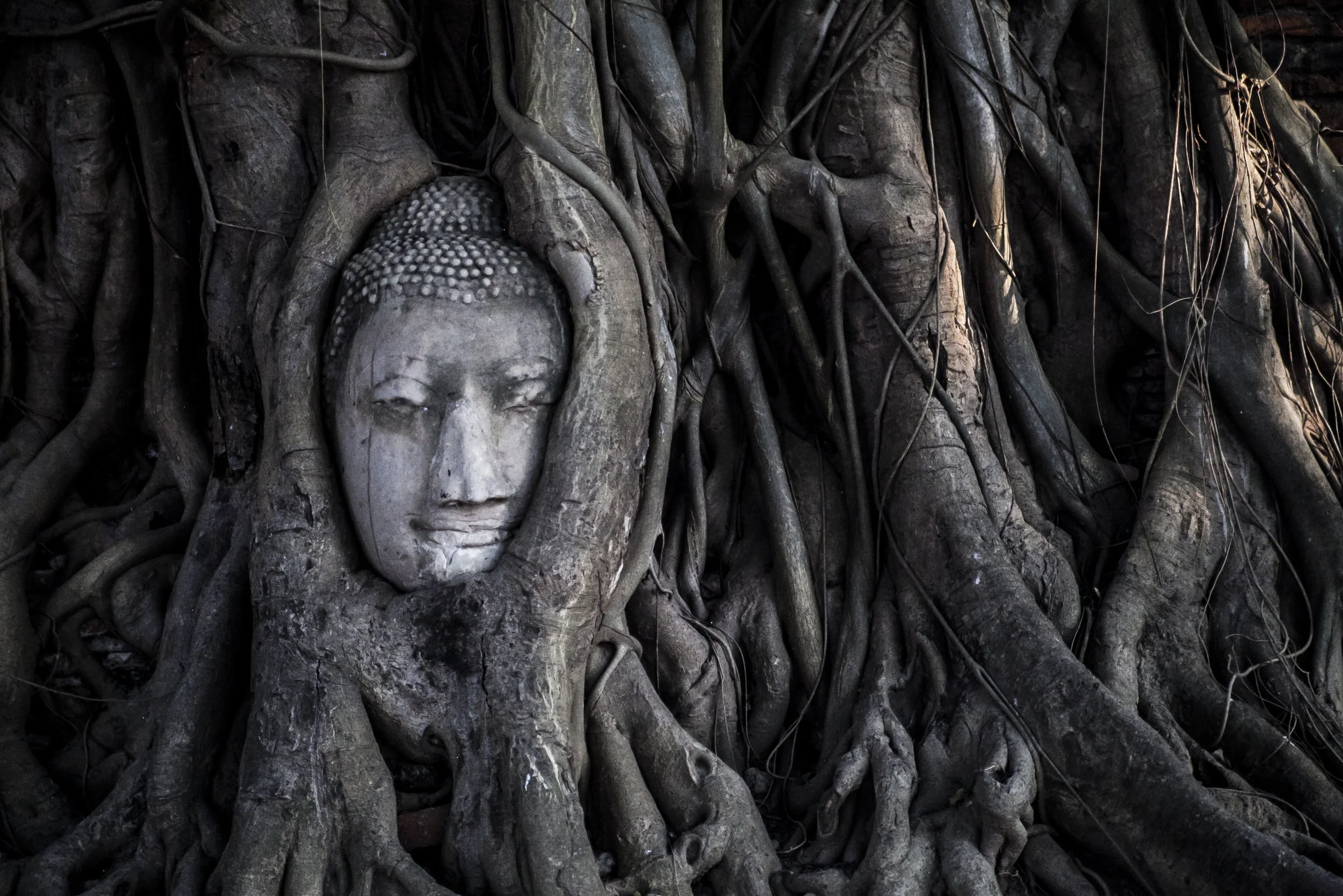  Ayutthaya, Thailand, 2015 