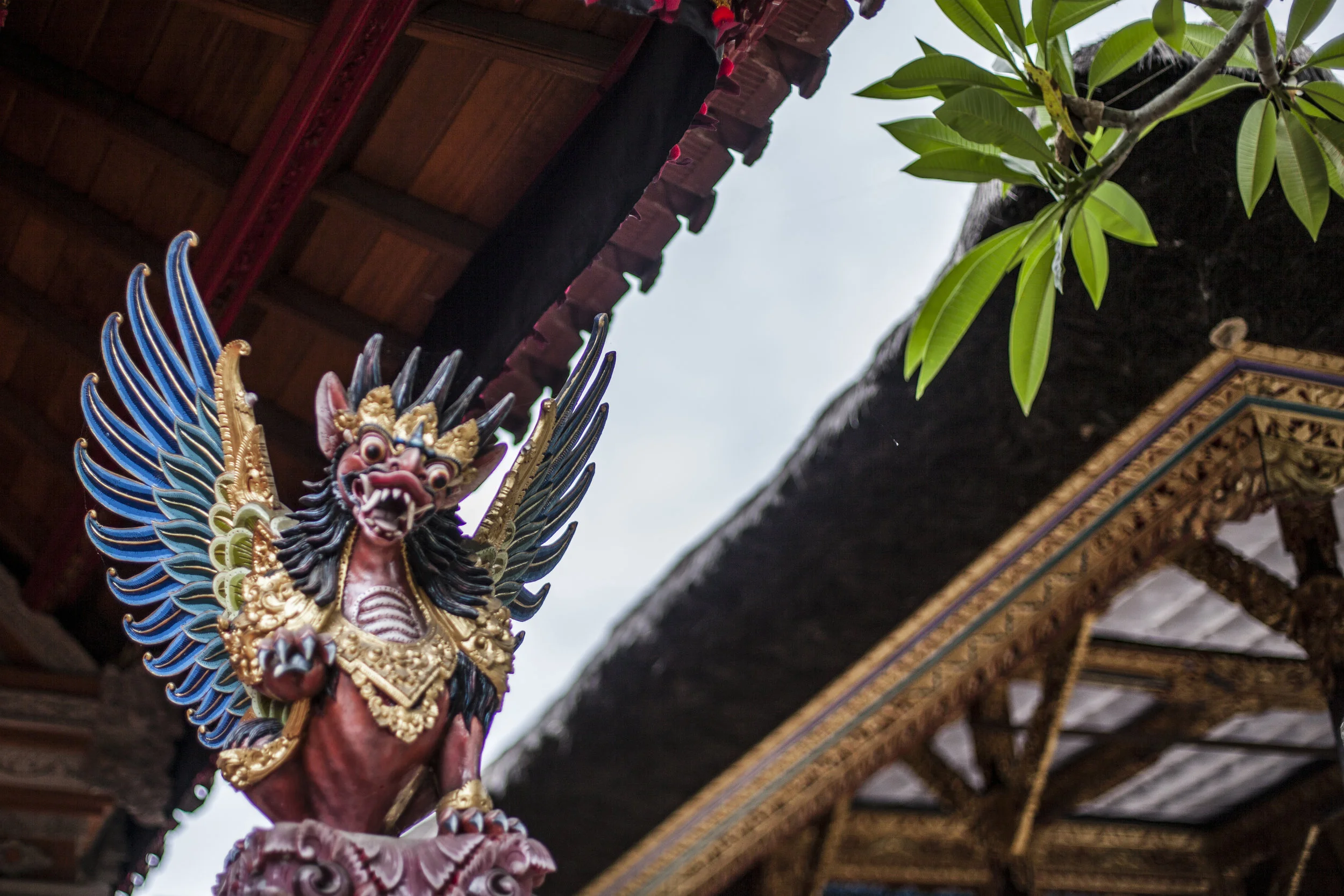  Ubud, Bali, 2016 