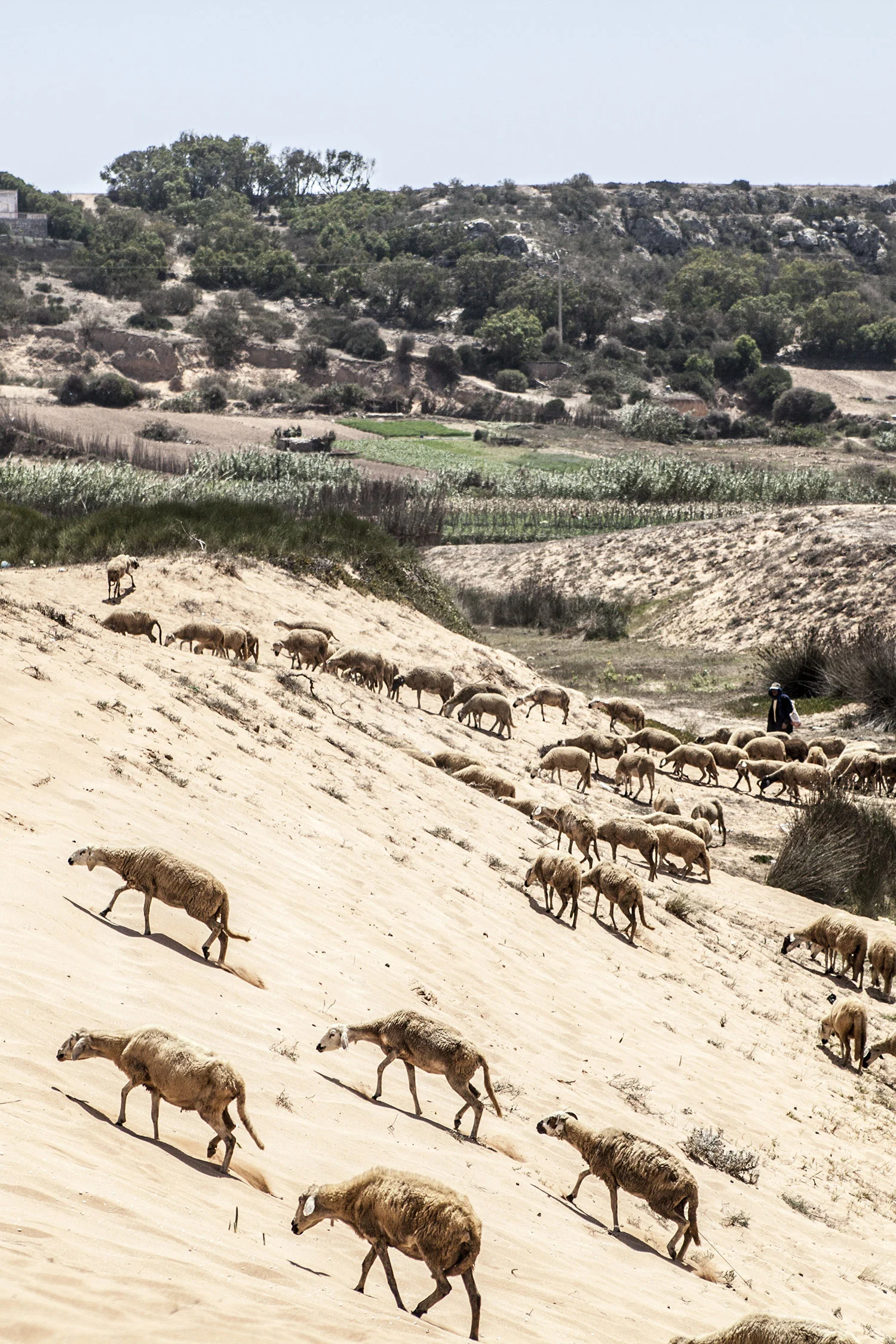  Oualidia, Morocco, 2016 