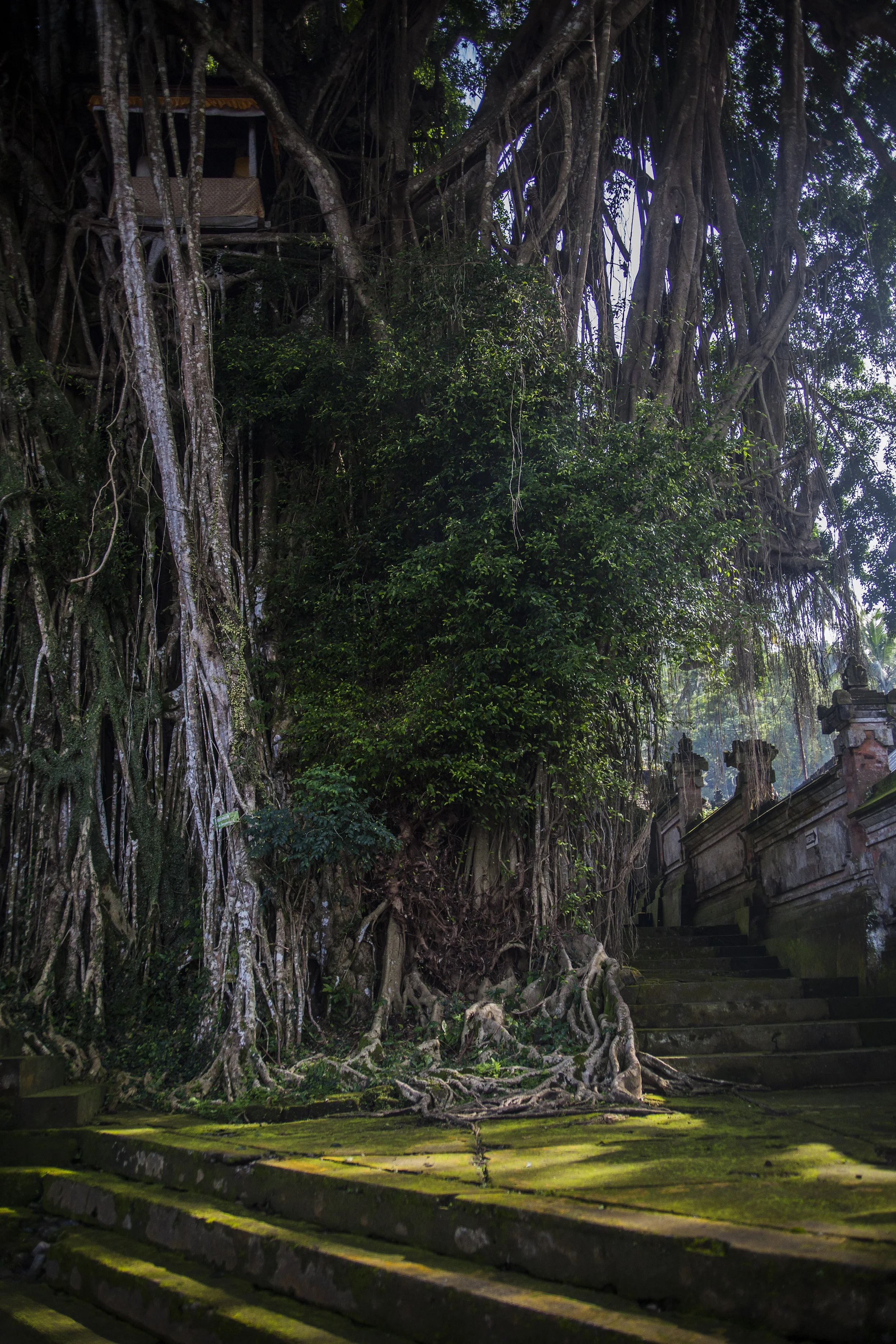  Bangli, Bali, 2017 