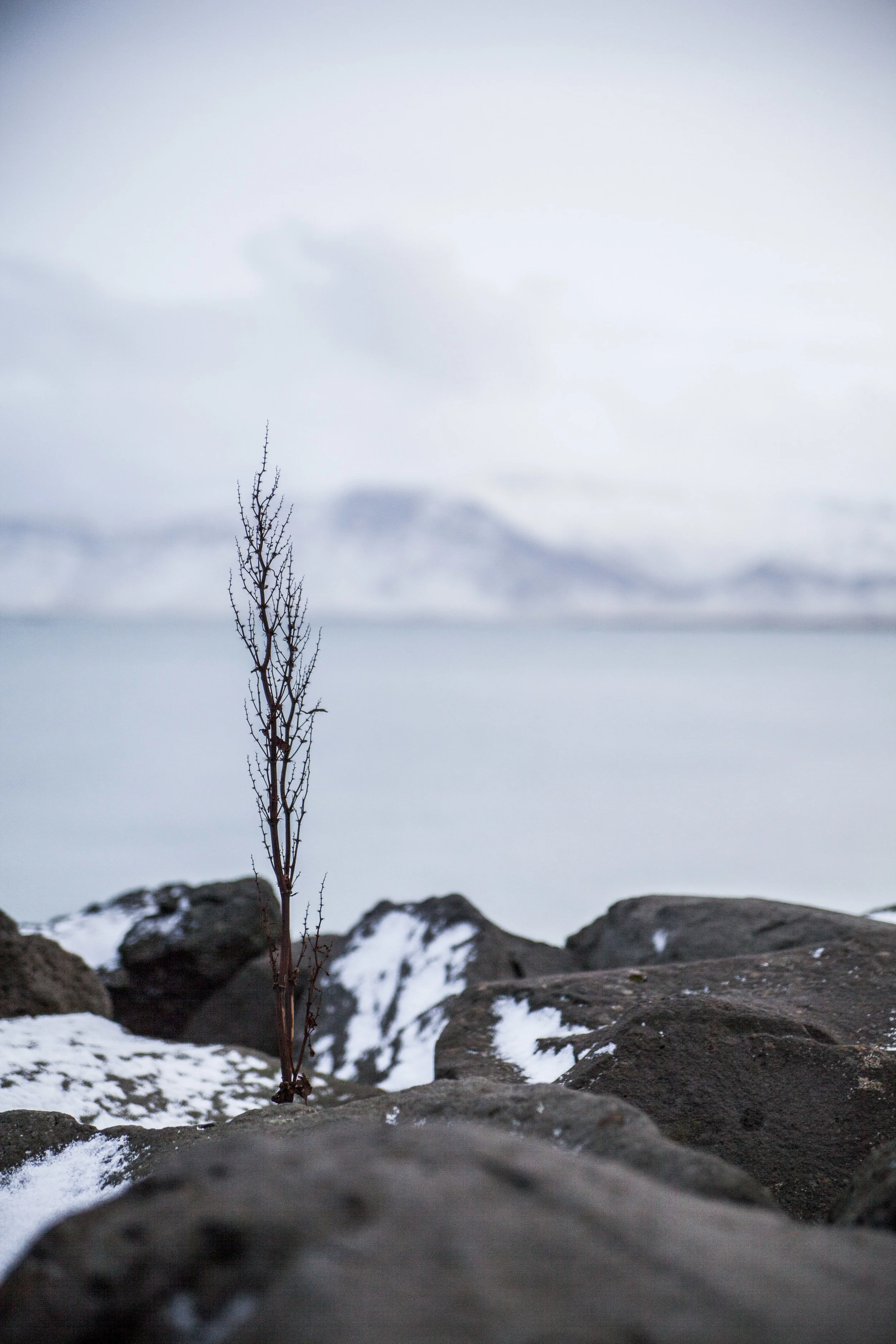  Reykjavík, Iceland, 2017 