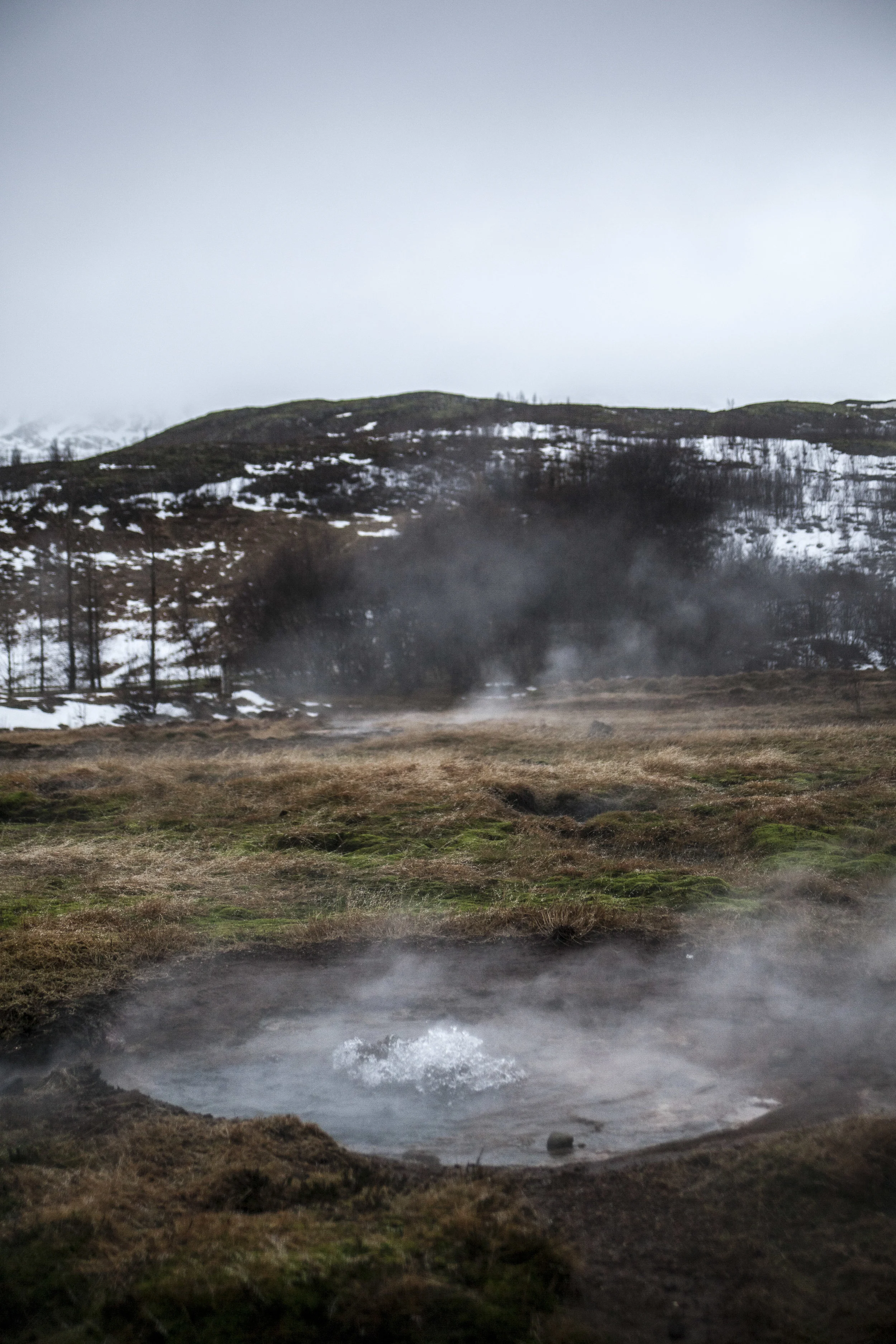  Haukadalur, Iceland, 2017 