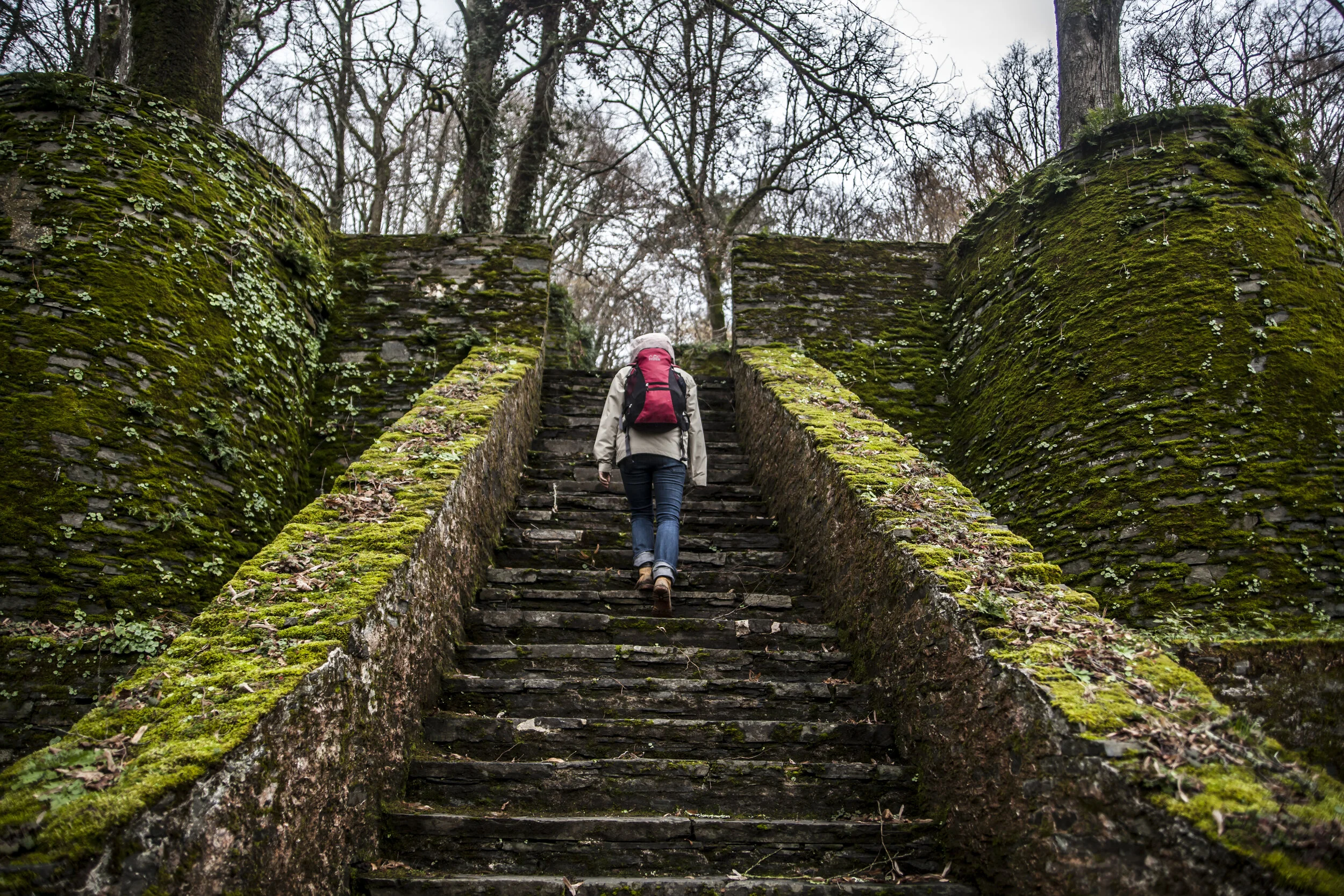  Le Cellier, 2019, France 