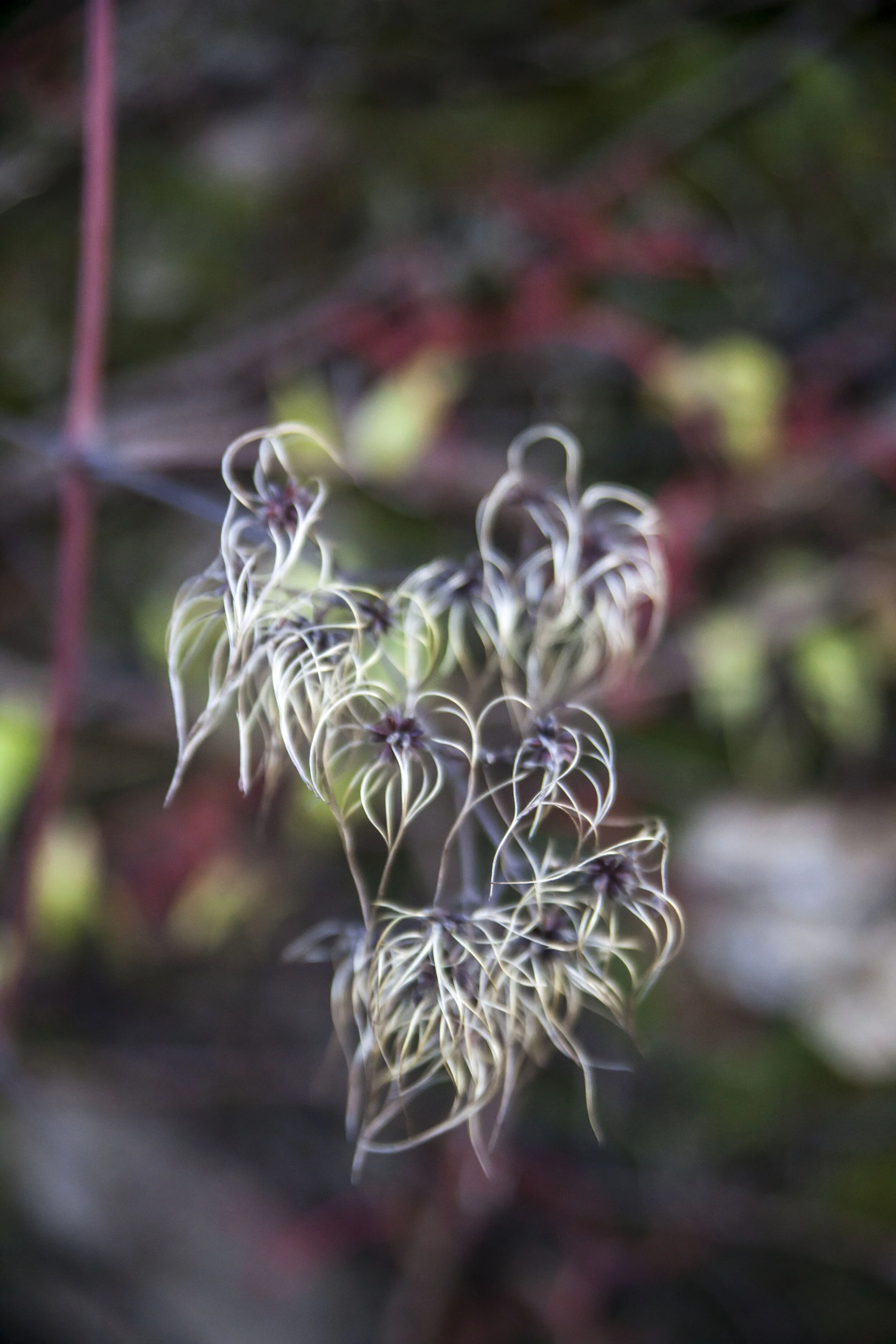  Fondettes, France, 2020 