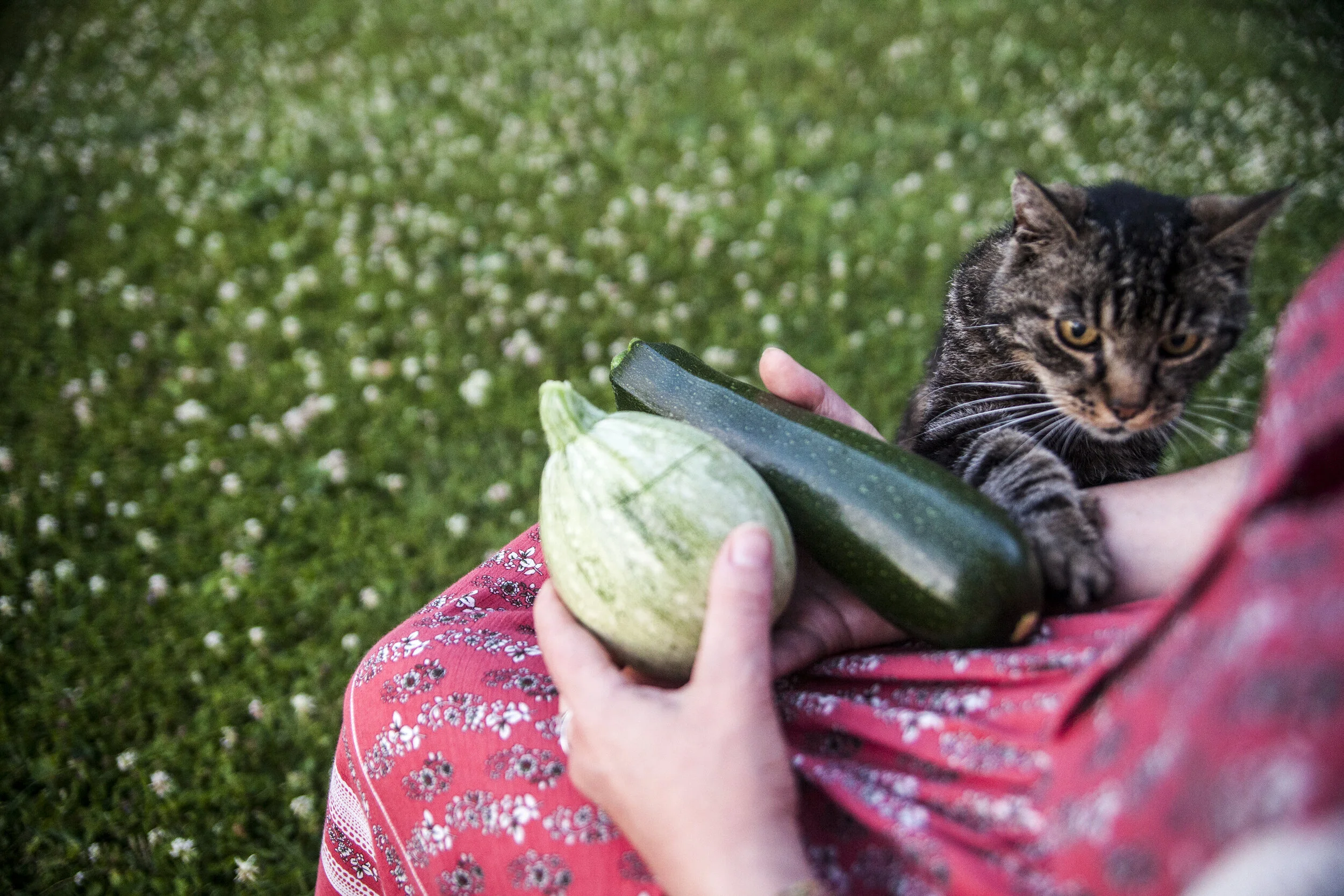  Nouzilly, France, 2018 