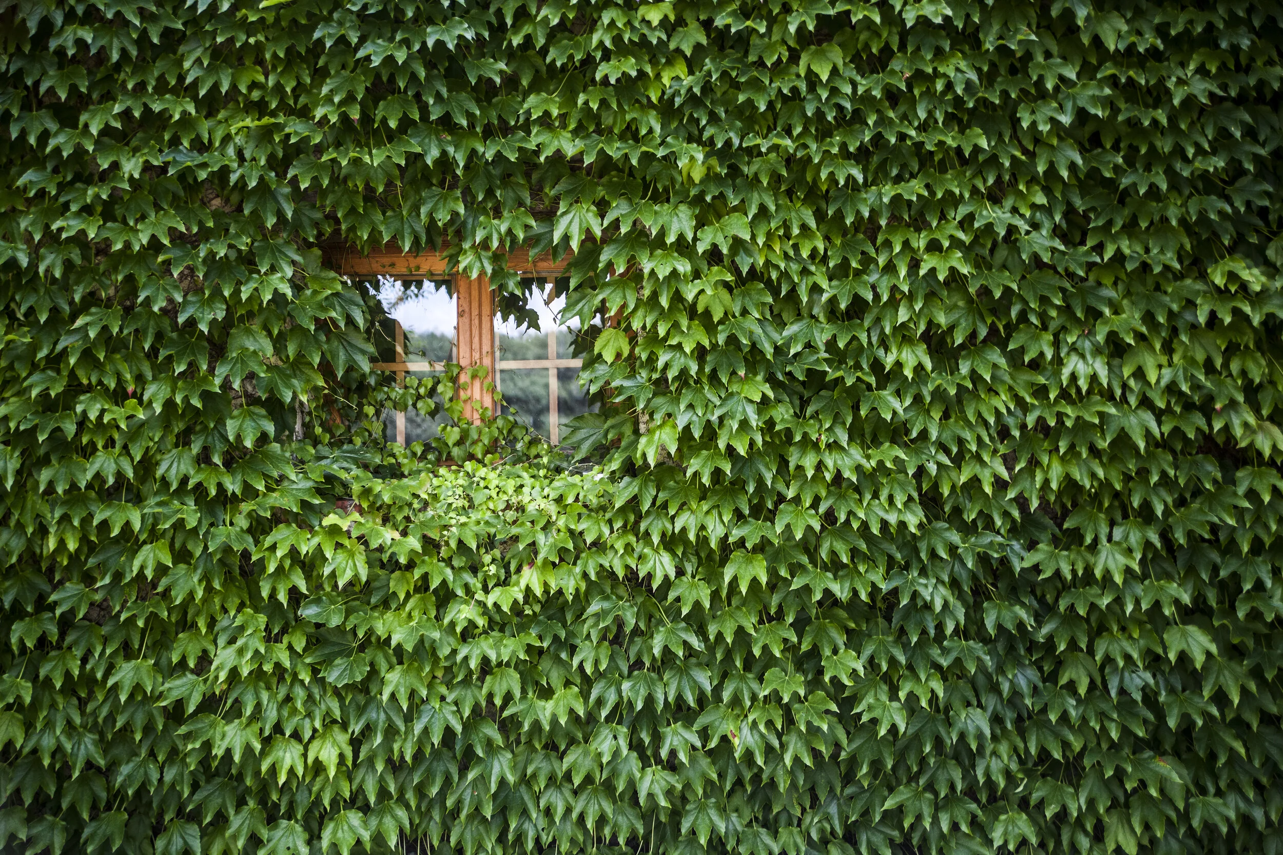  Nouzilly, France, 2018 