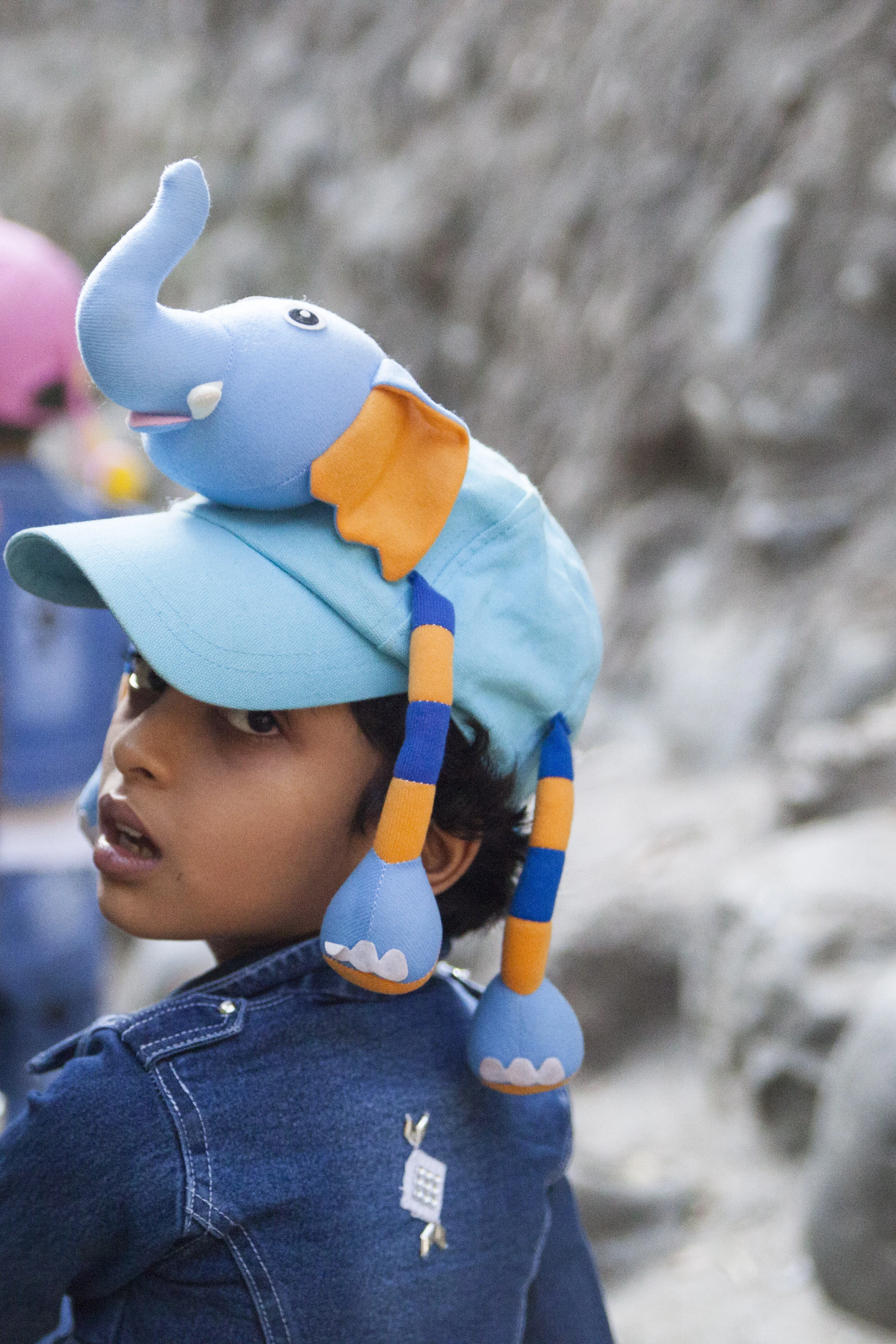  Elephant Island, India 