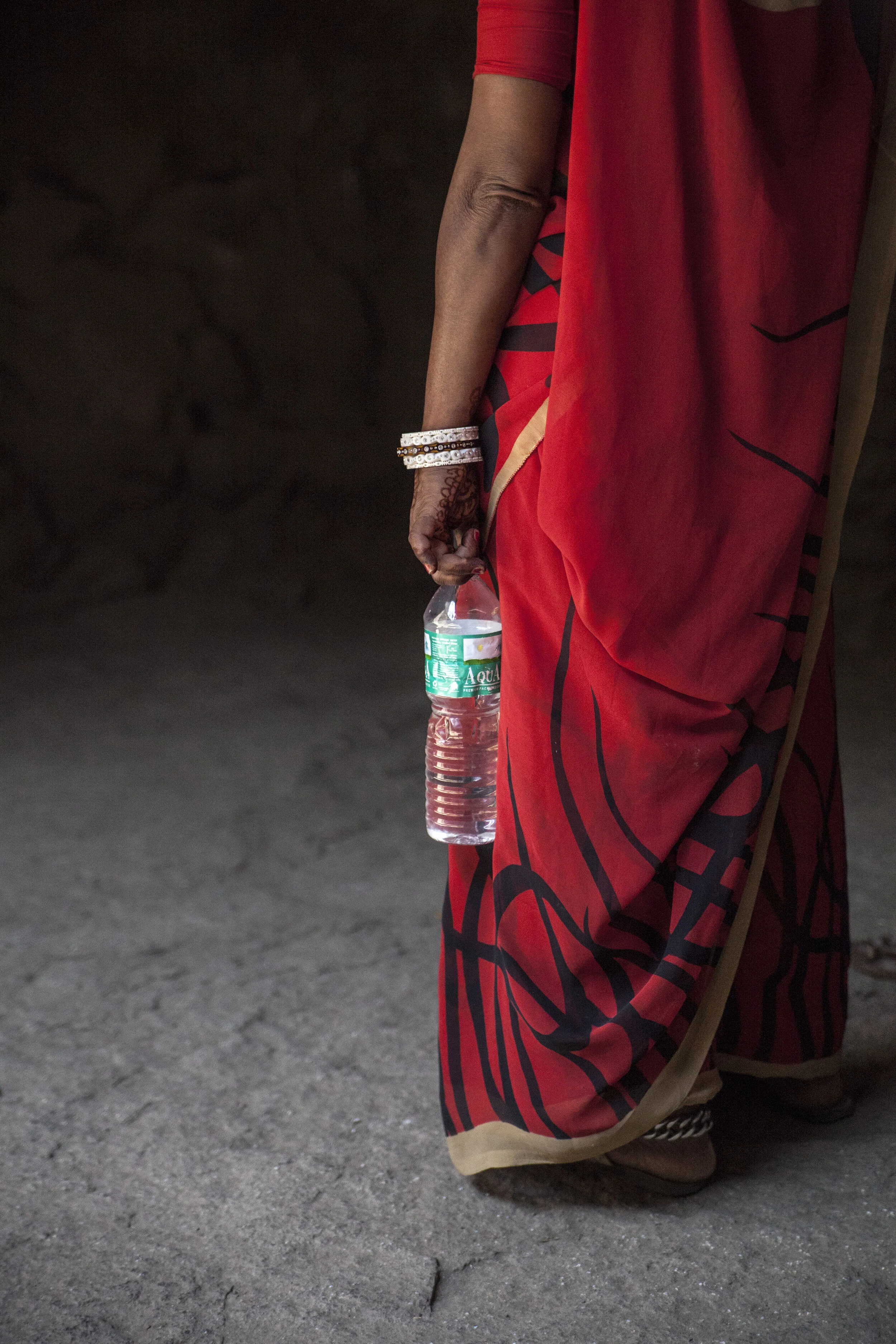  Elephant Island, India, 2013 