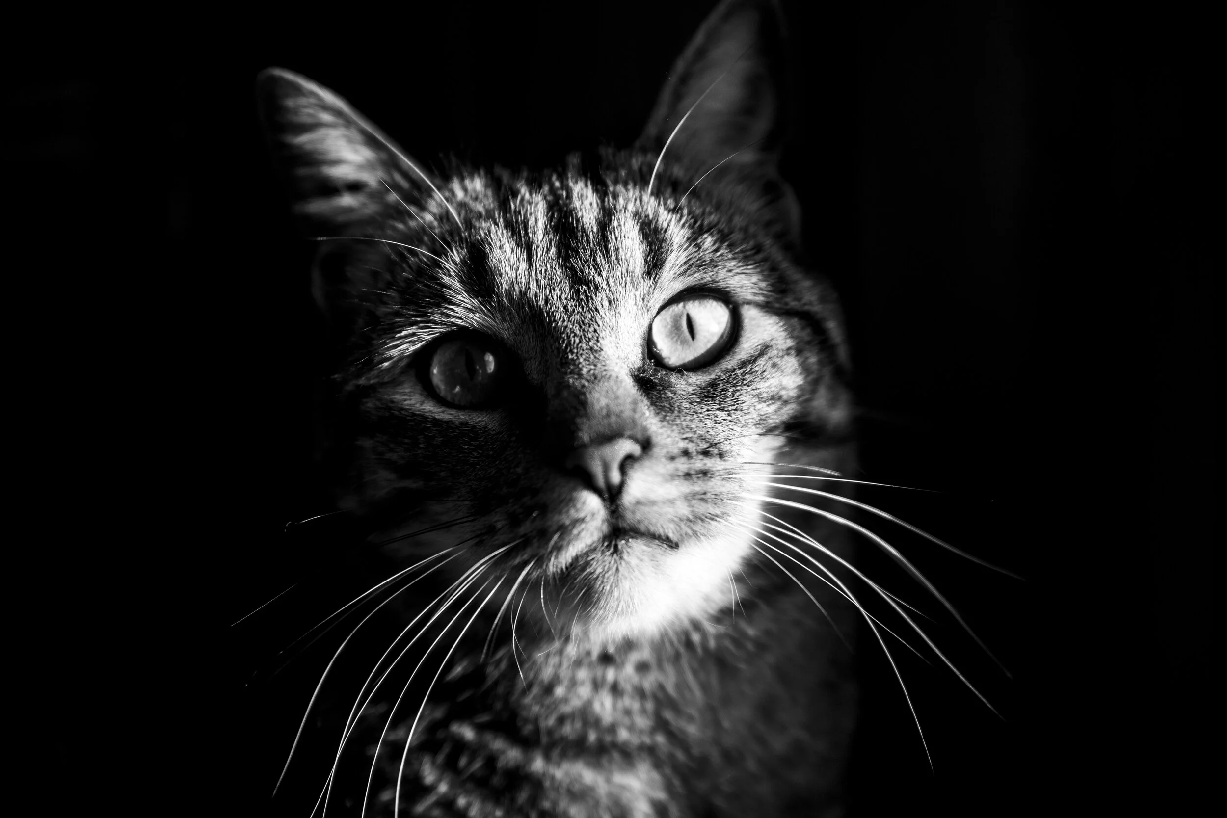  Nouzilly, France, 2018 