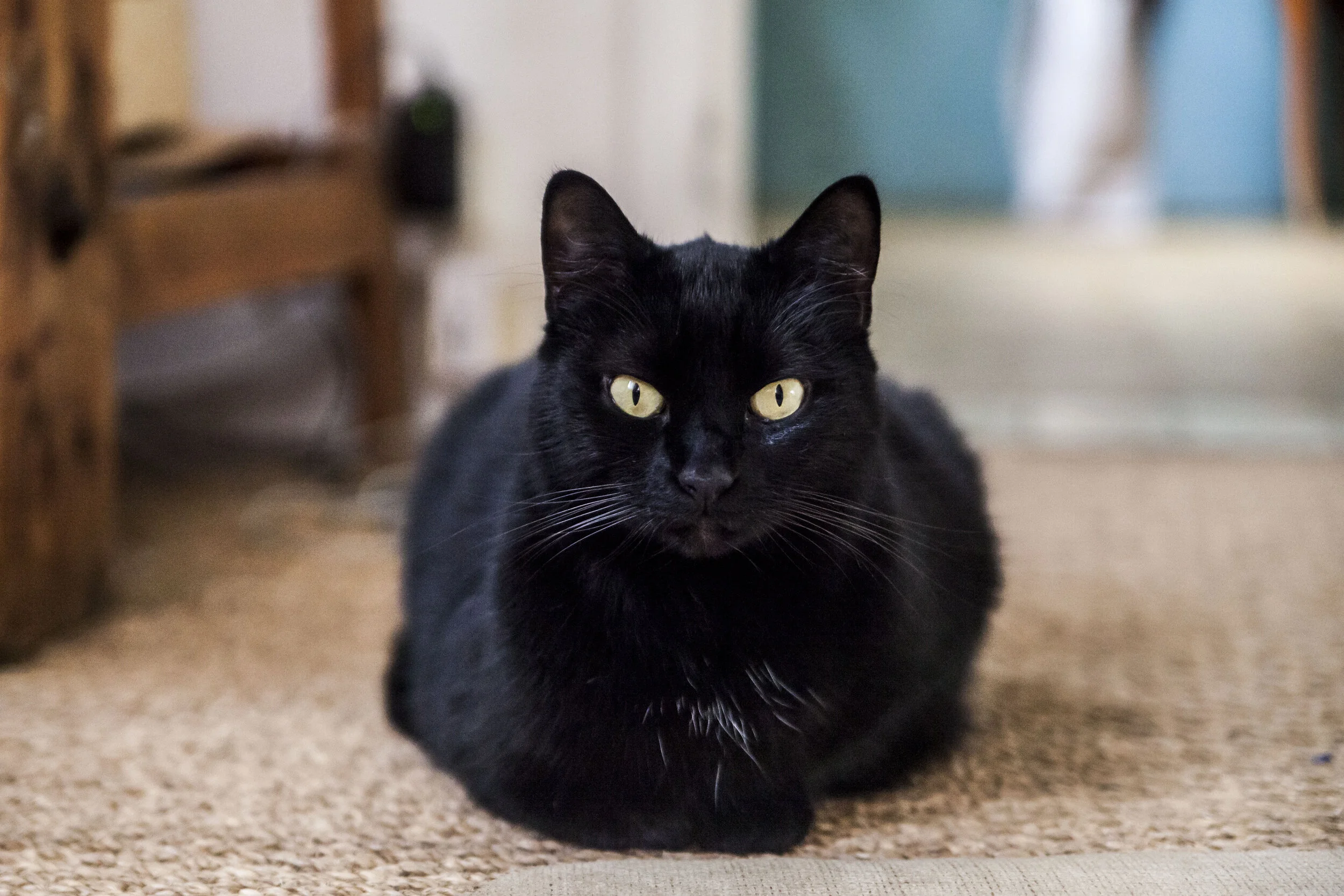  Toulouse, France, 2021 