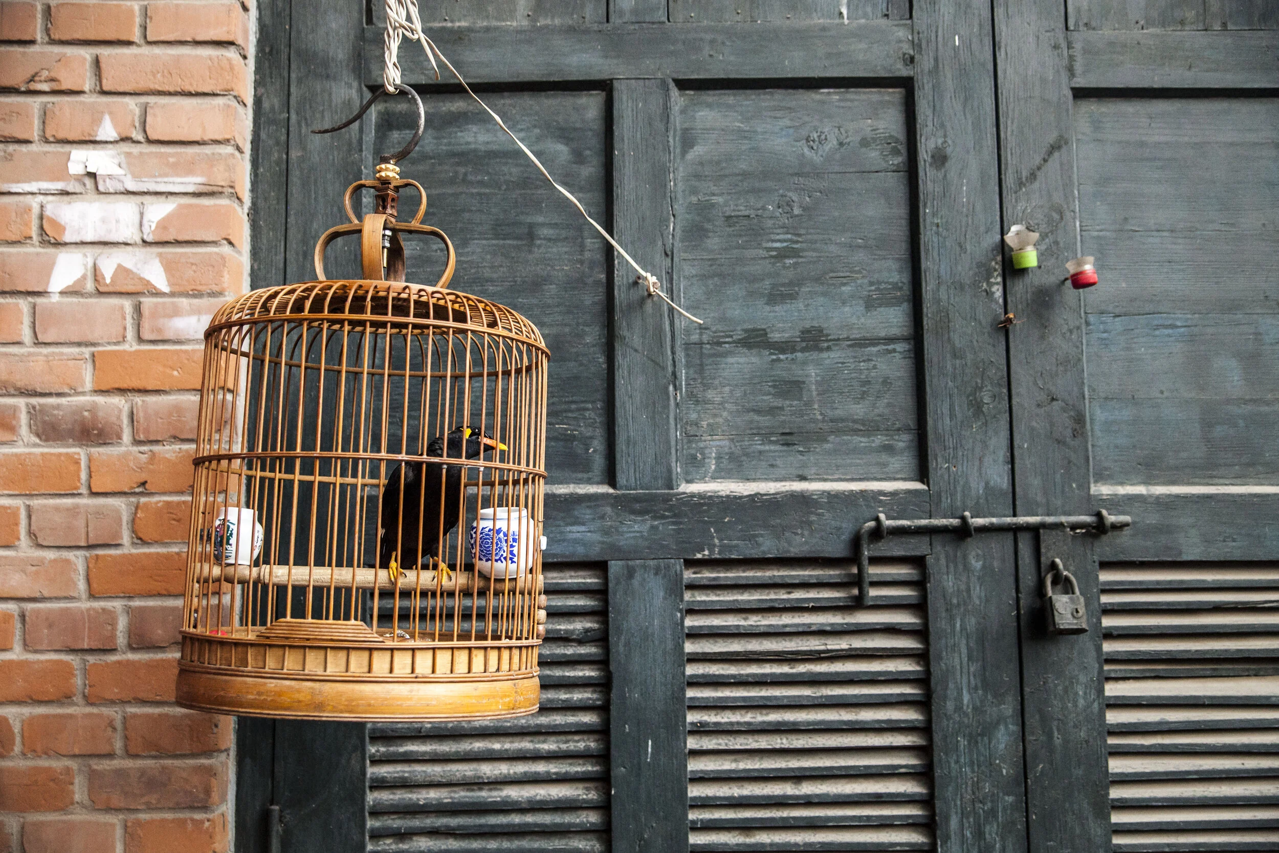  Beijing, China, 2013 