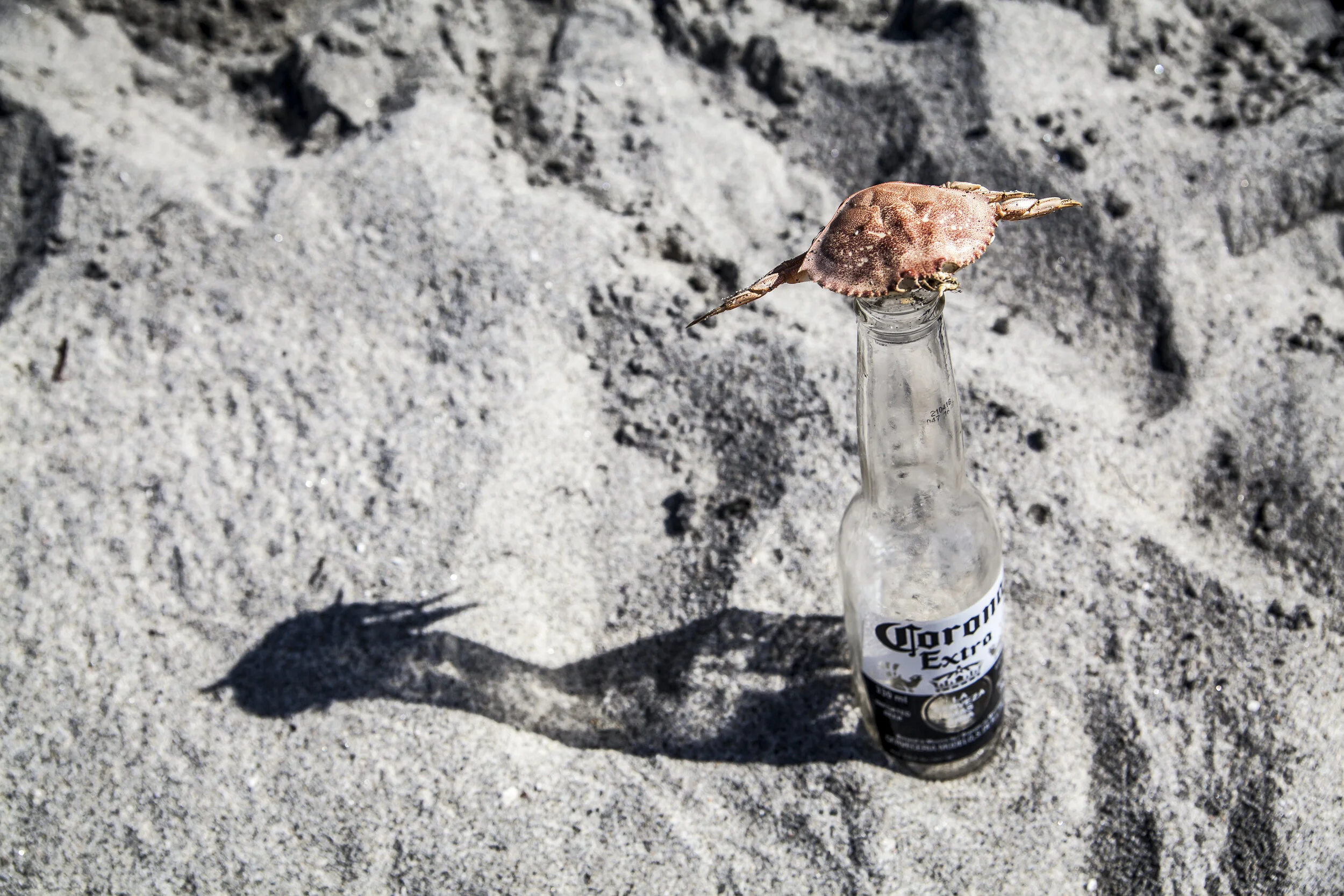  Vancouver Island, Canada, 2018 