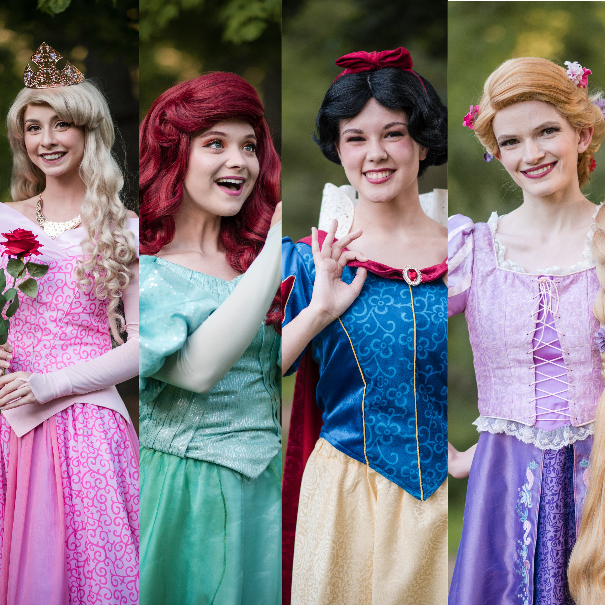 Private Princess Party