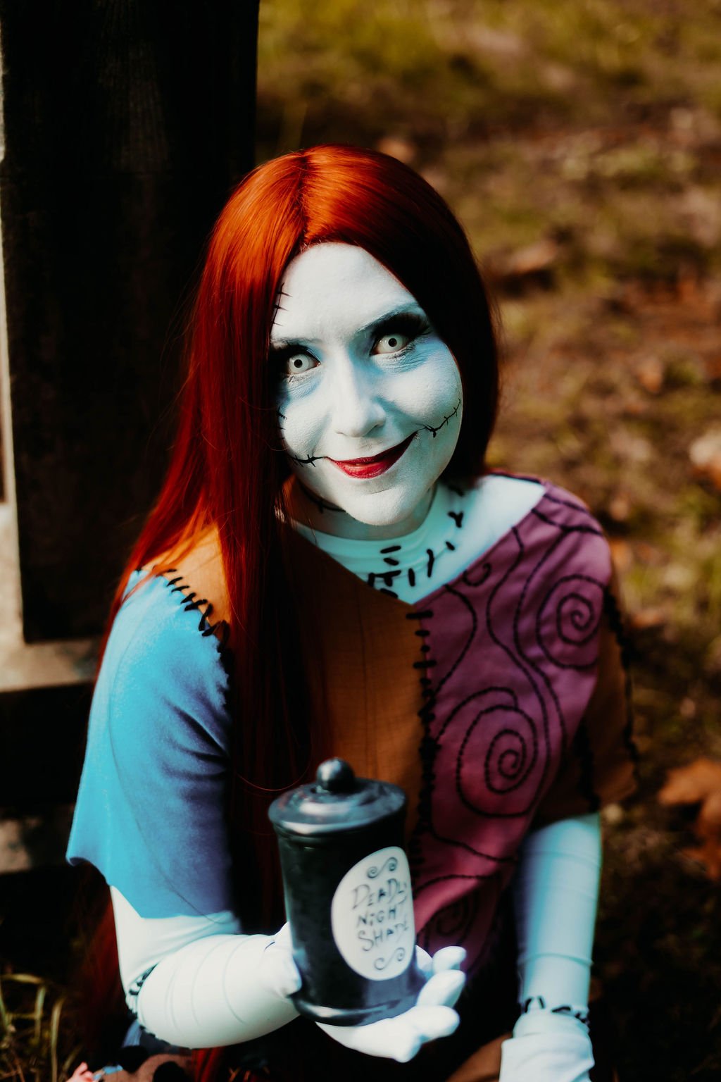 Ragdoll Birthday Visit