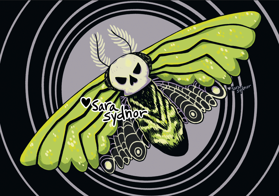 Halloween Moth