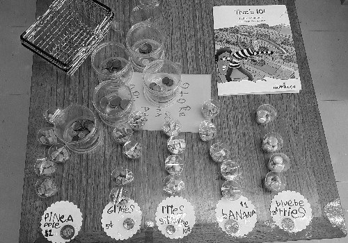 Constructing Grade 1 Students’ Math Skills with Mathology