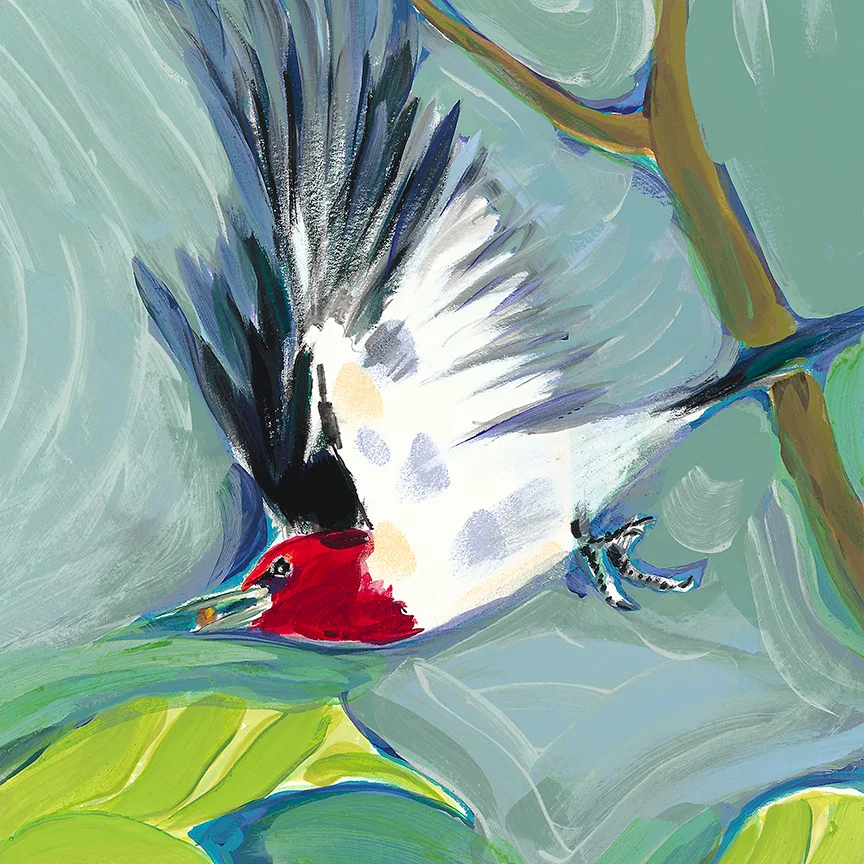 Red Headed Woodpecker