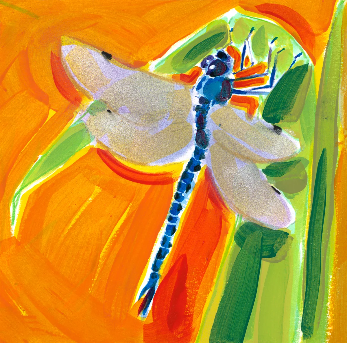 Blue Dragonfly on Tangerine Ground
