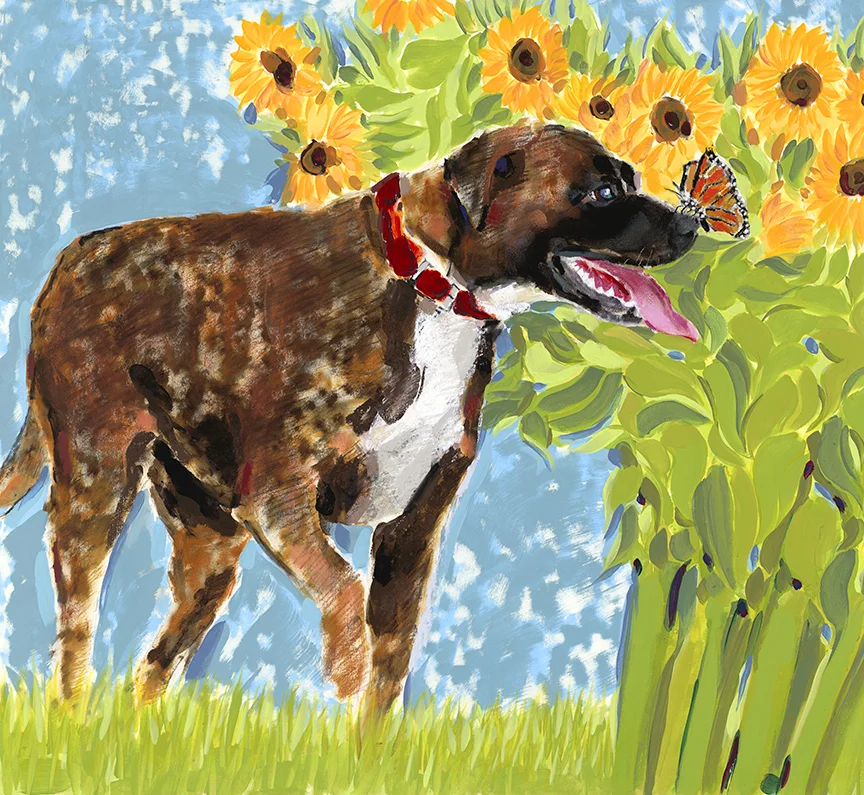 New Sunflower Pup