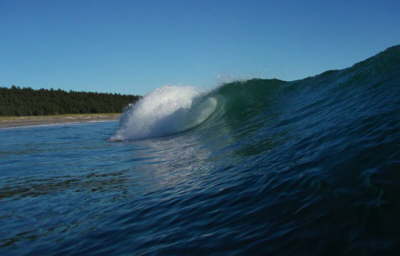 db_Cannon-Beach2cropped051.jpg