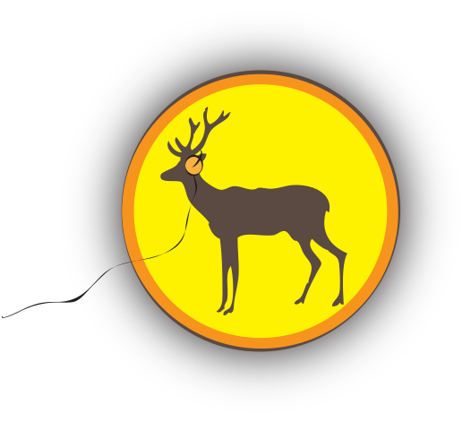 O'Deer Recording