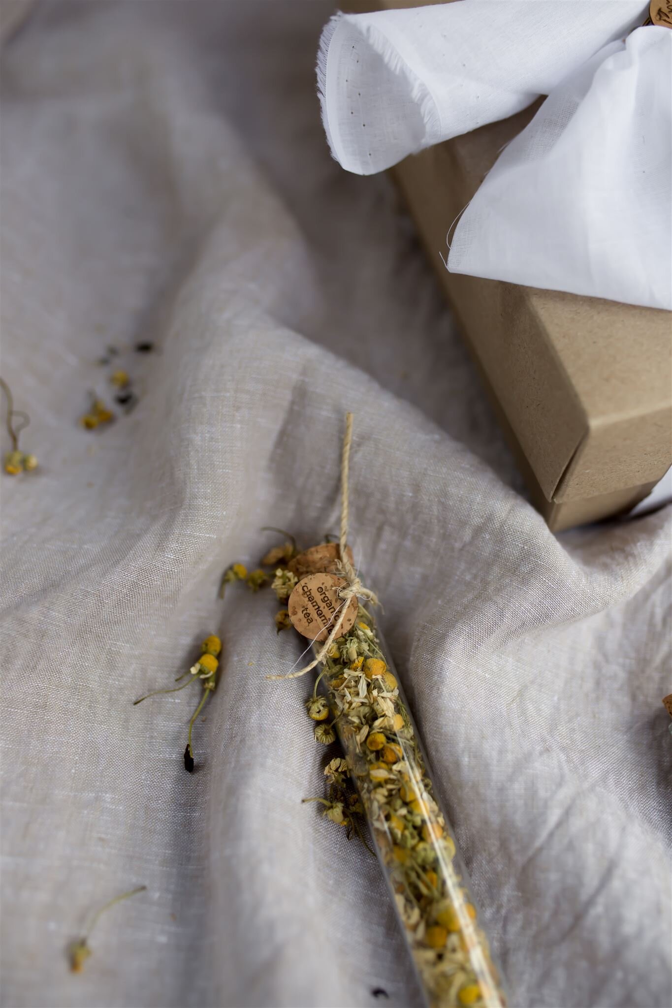 White Vine Photography (168 of 182)_websize.jpg