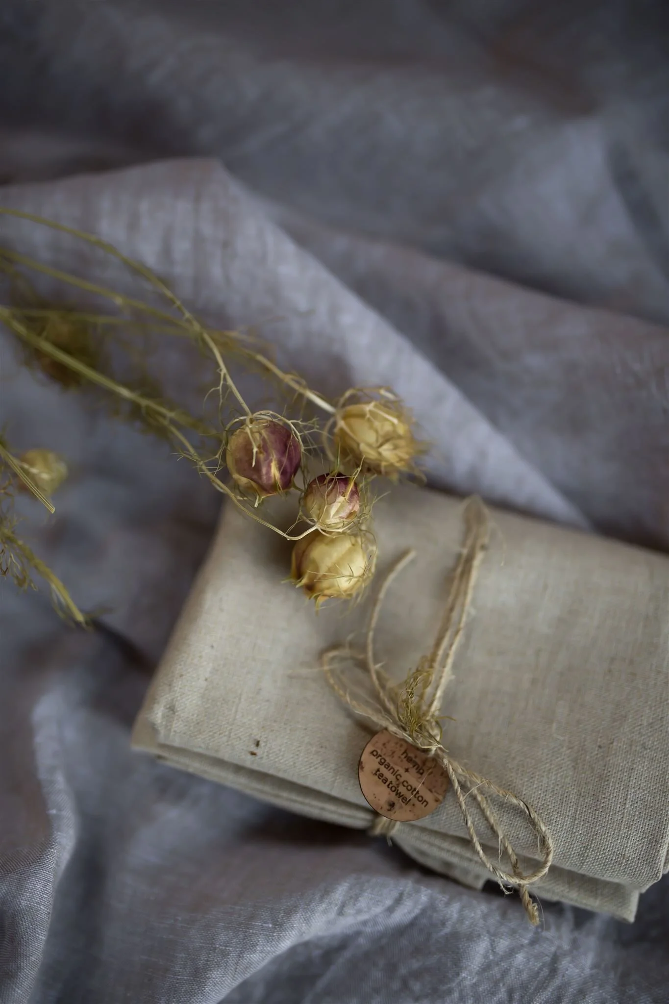 White Vine Photography (153 of 182)_websize.jpg