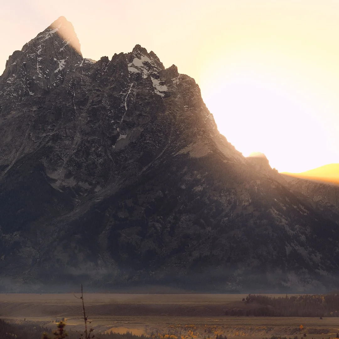 5— DEF24_32_LANDSCAPE_3513-1.jpg