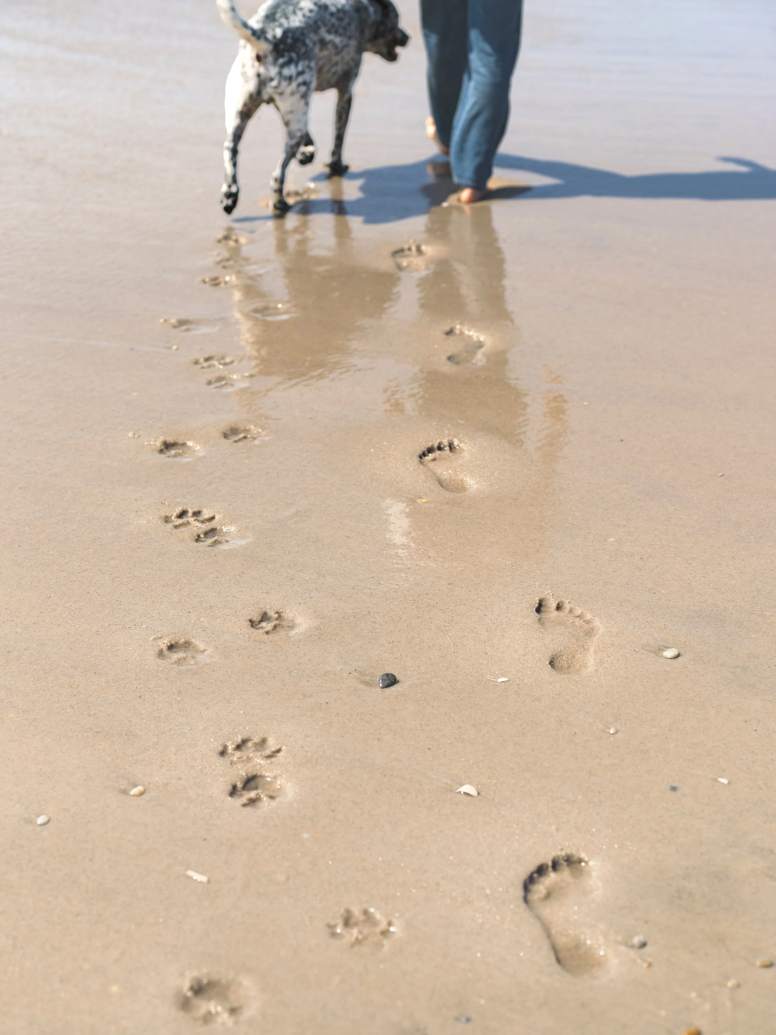 L66325NA_111701418_D110_Jetty_Textures_002.jpg