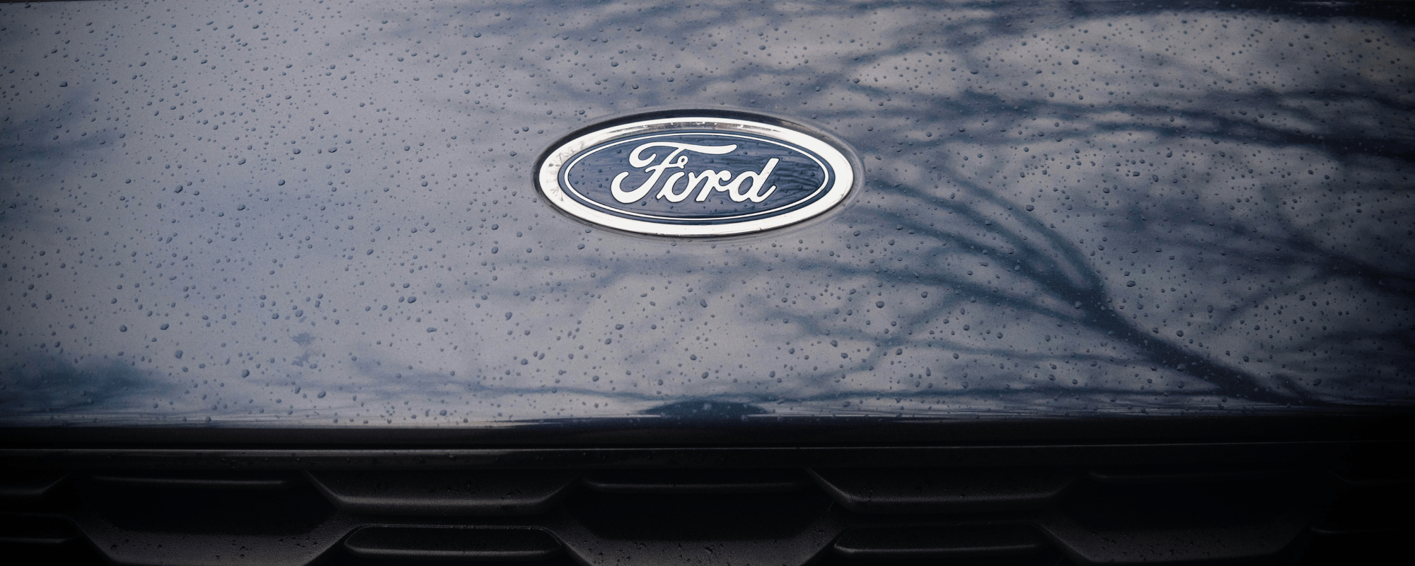Ford_Comp.png