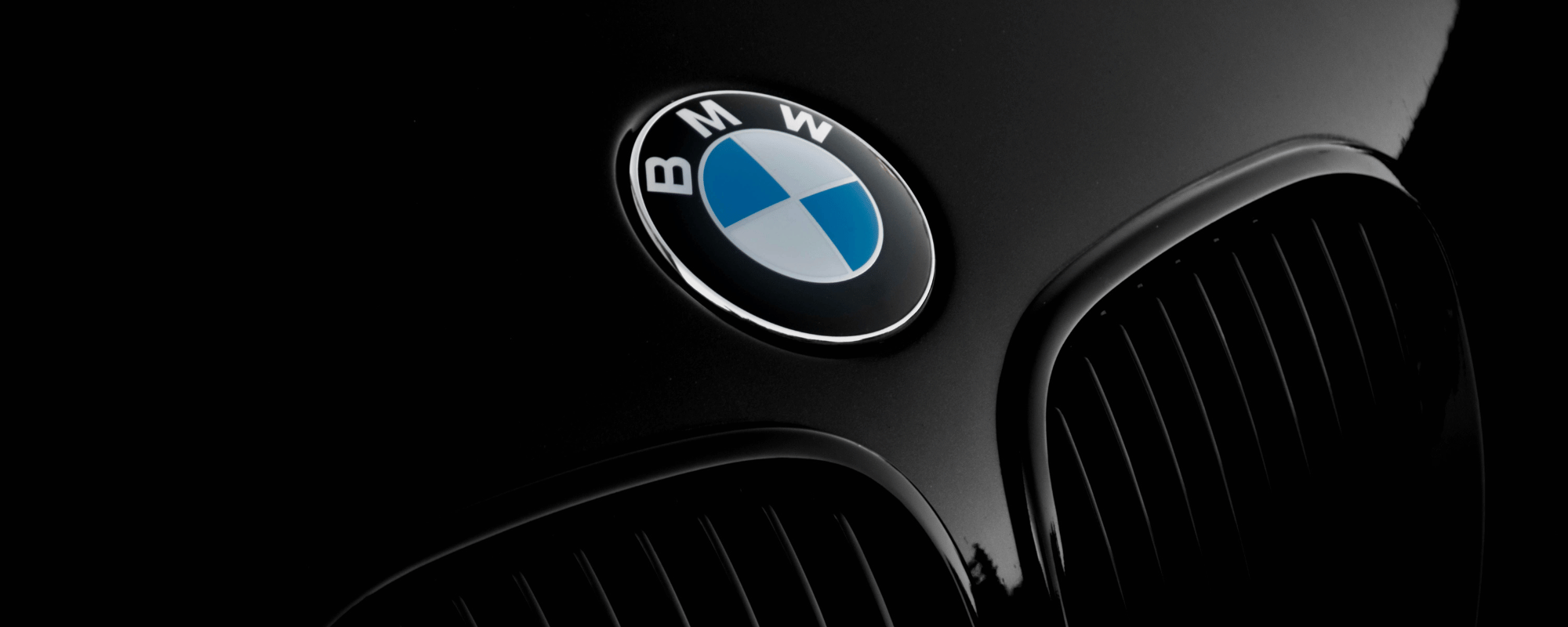 BMW Banner_Comp.png