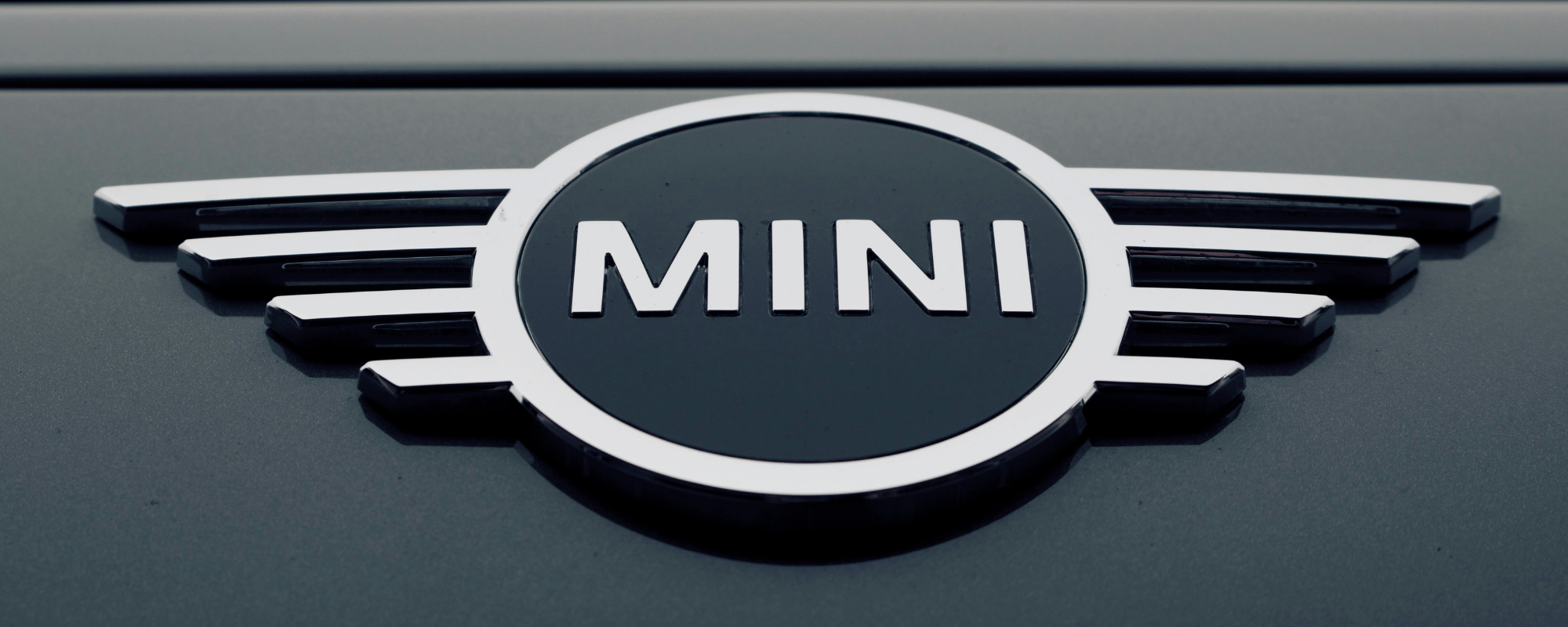 MINI Banner_Comp.png