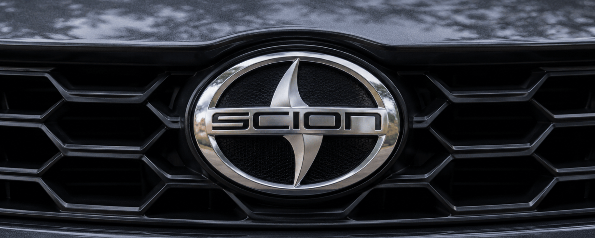 Scion Banner_Comp.png