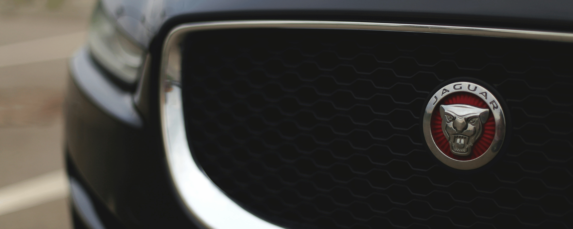 Jaguar Banner_Comp.png