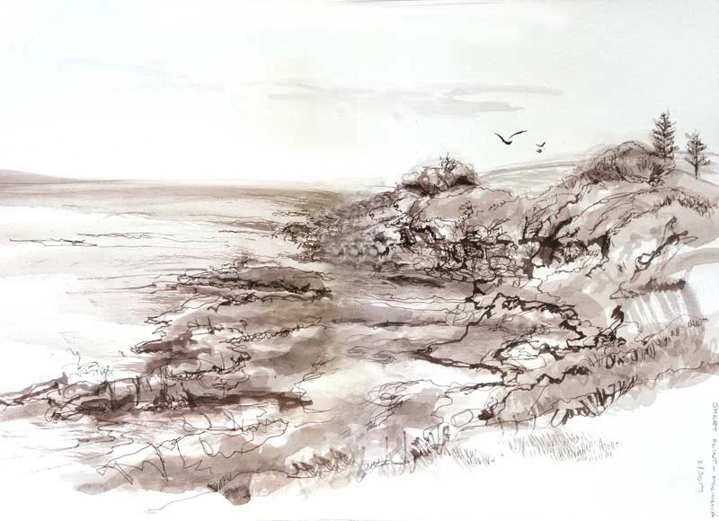 Short Point - Merimbula 2017