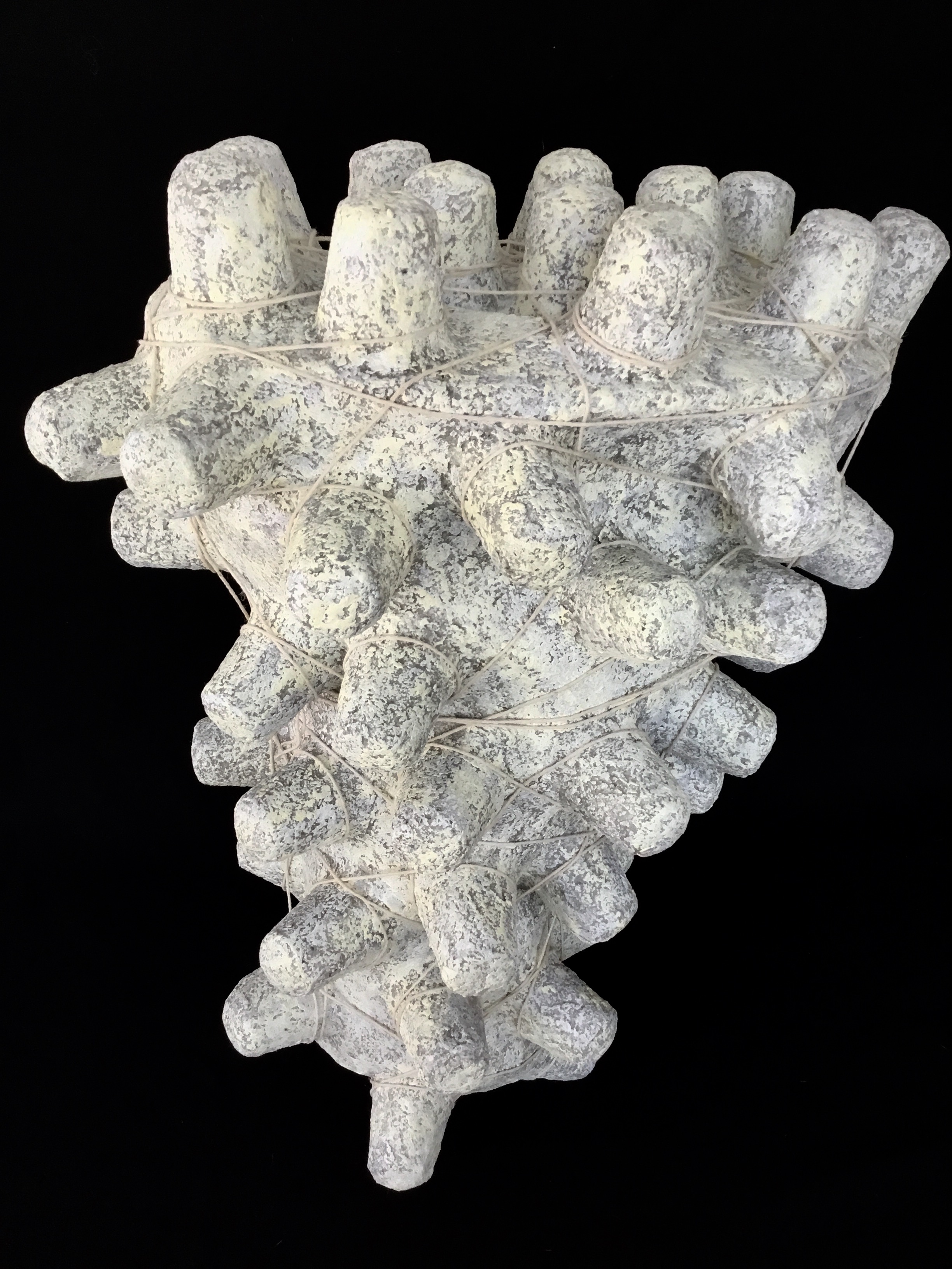 Biome II (Coral)
