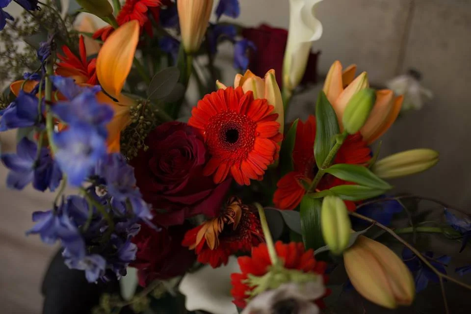 Garnet Dahlia Photography