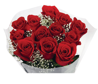 Screenshot 2025-12-16 150649.png