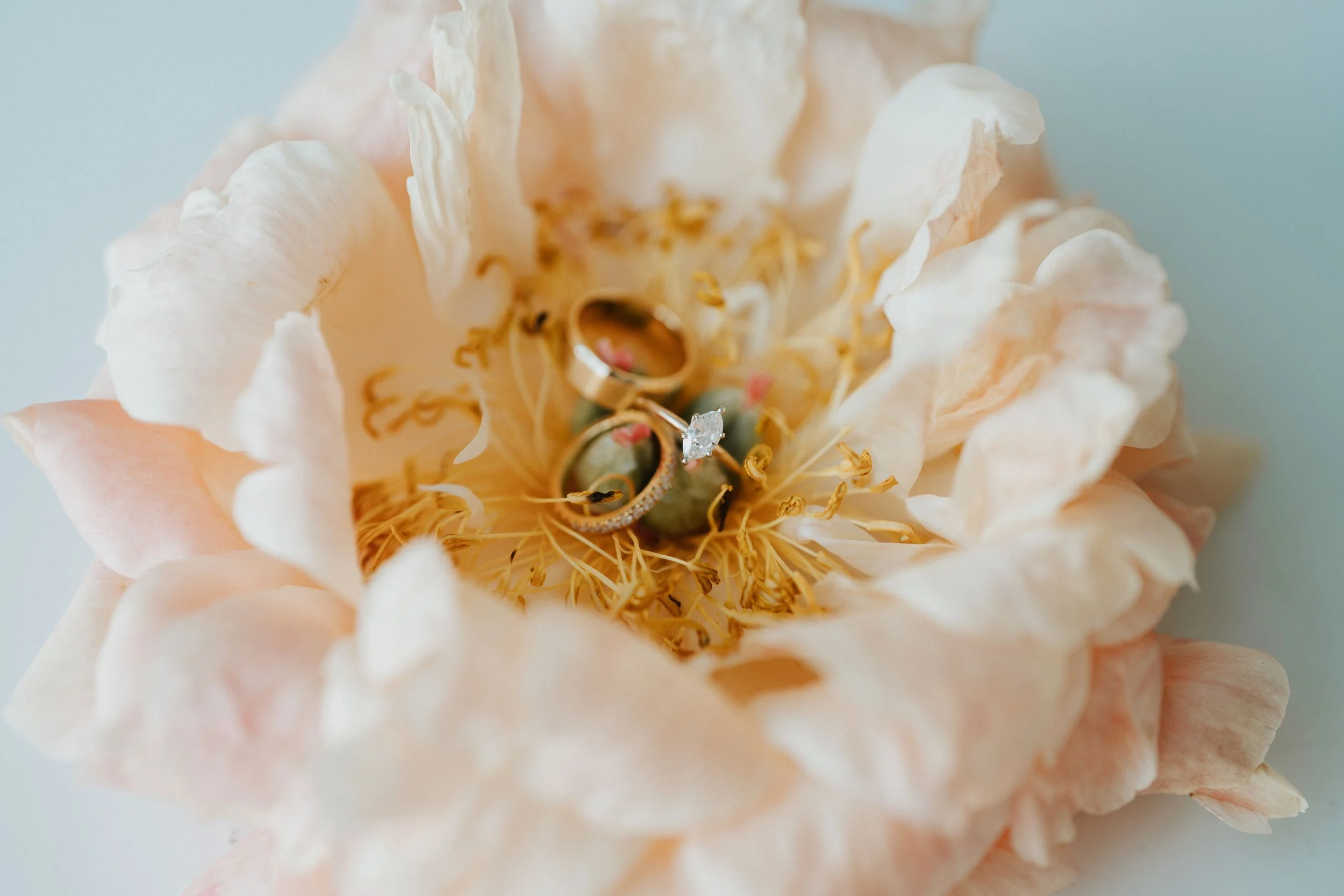 Lancaster Flower Co.