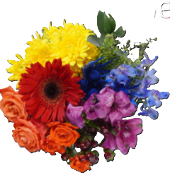 Diversity Blooms